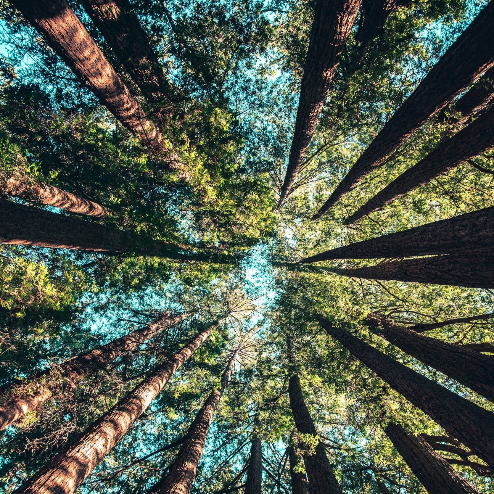 unsplash-image-4rDCa5hBlCs.jpg