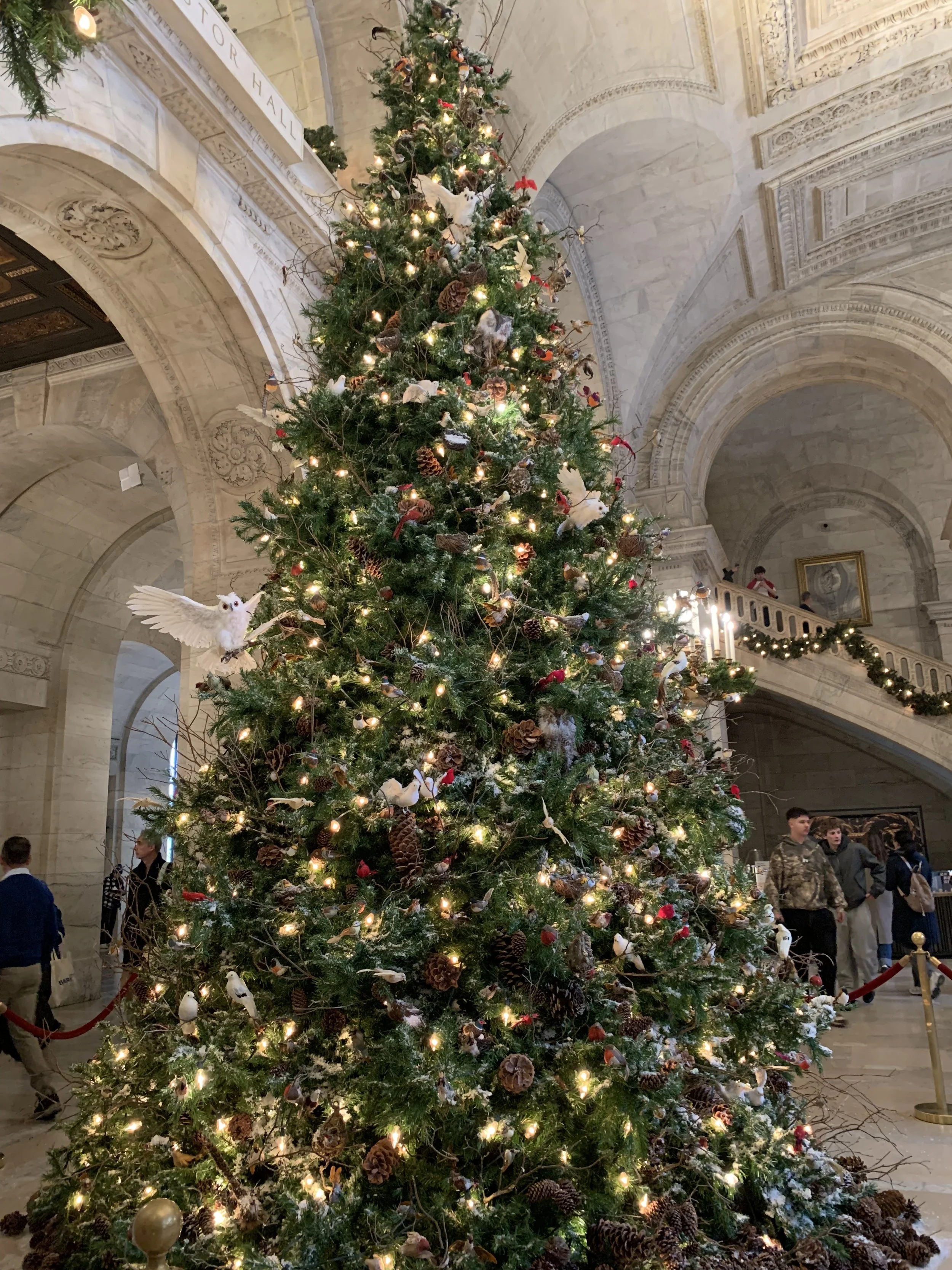 NYPL Xmas Tree.jpeg