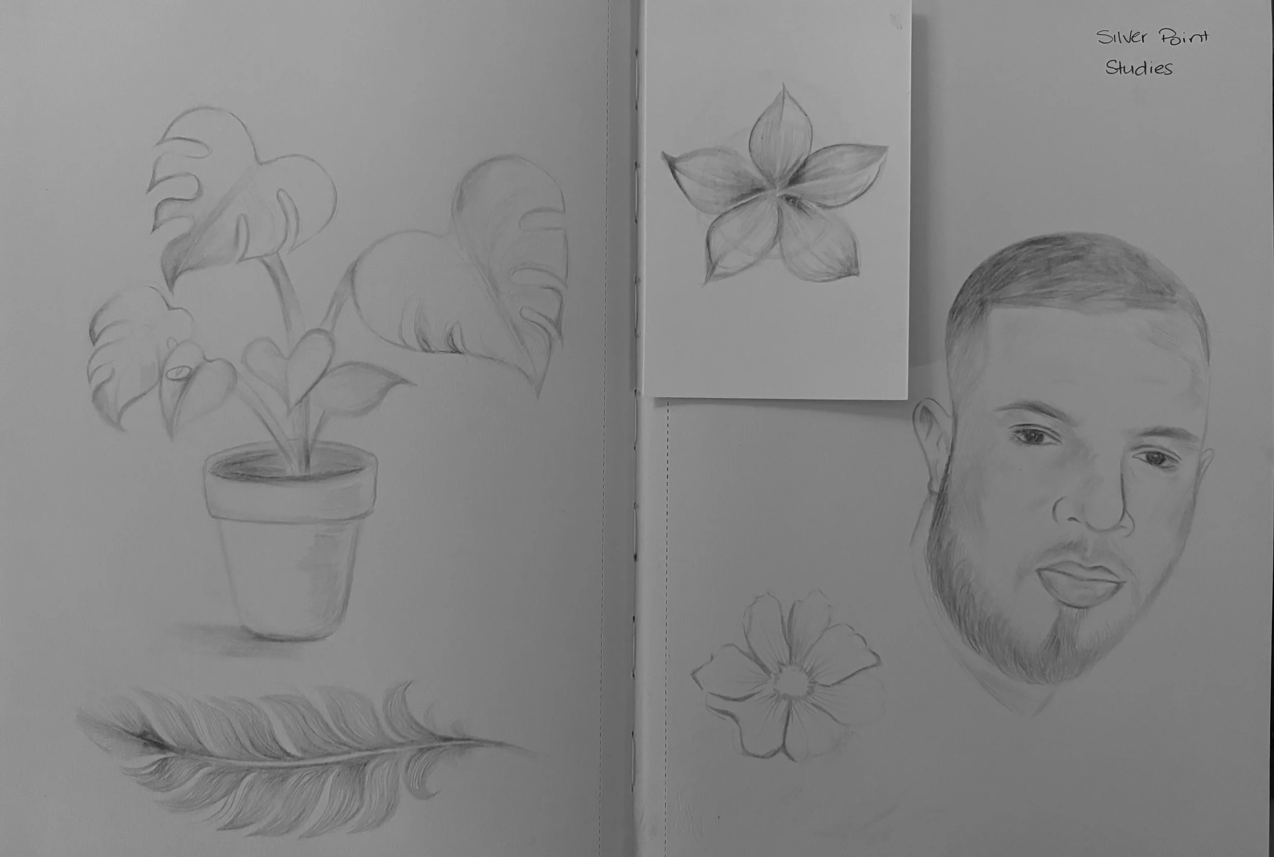 NOW_202630_ILLU701_CortneyBissessar_A6.12_SilverPoint.jpg