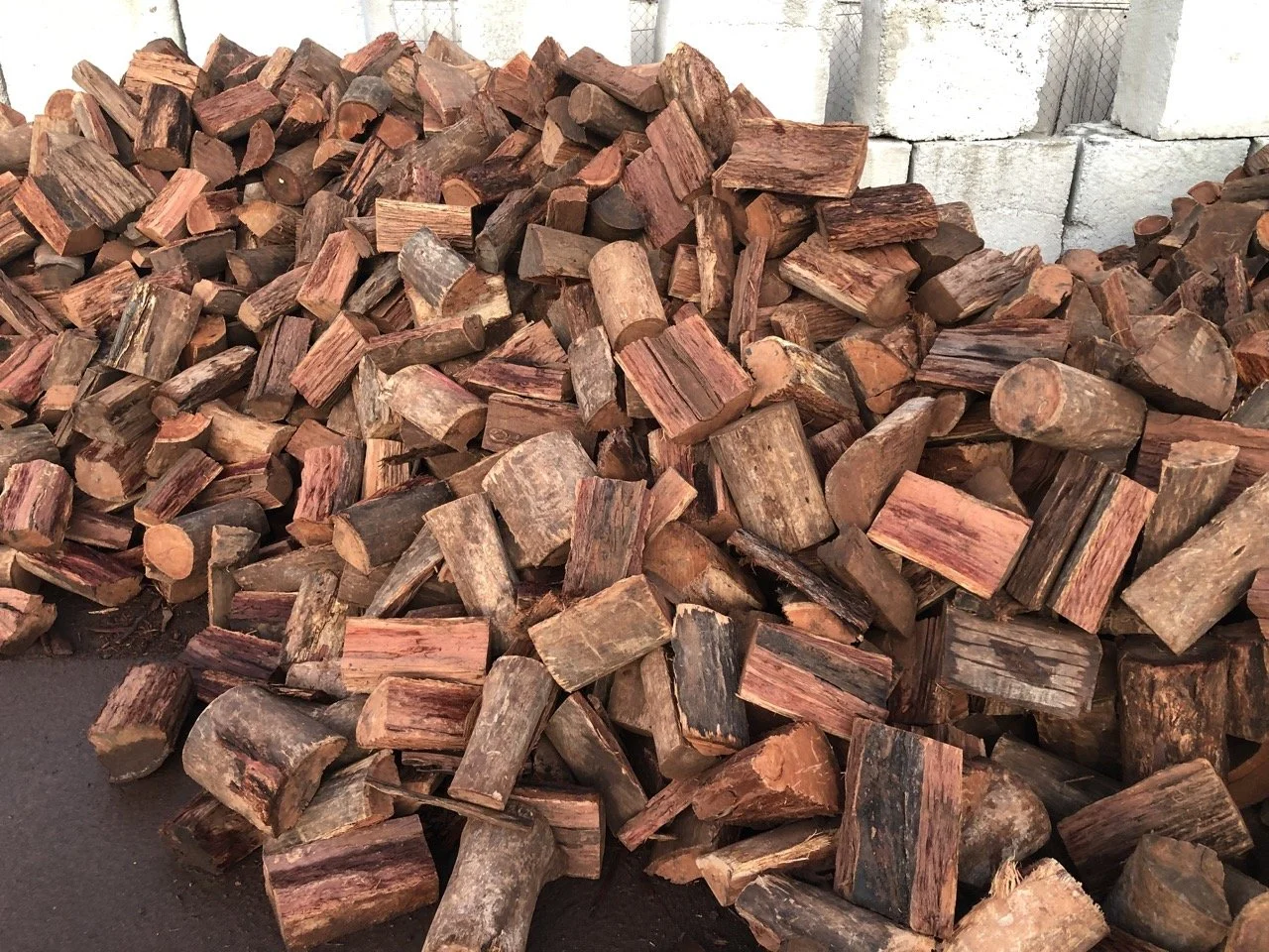 IMG_0156 copy Large.jpeg