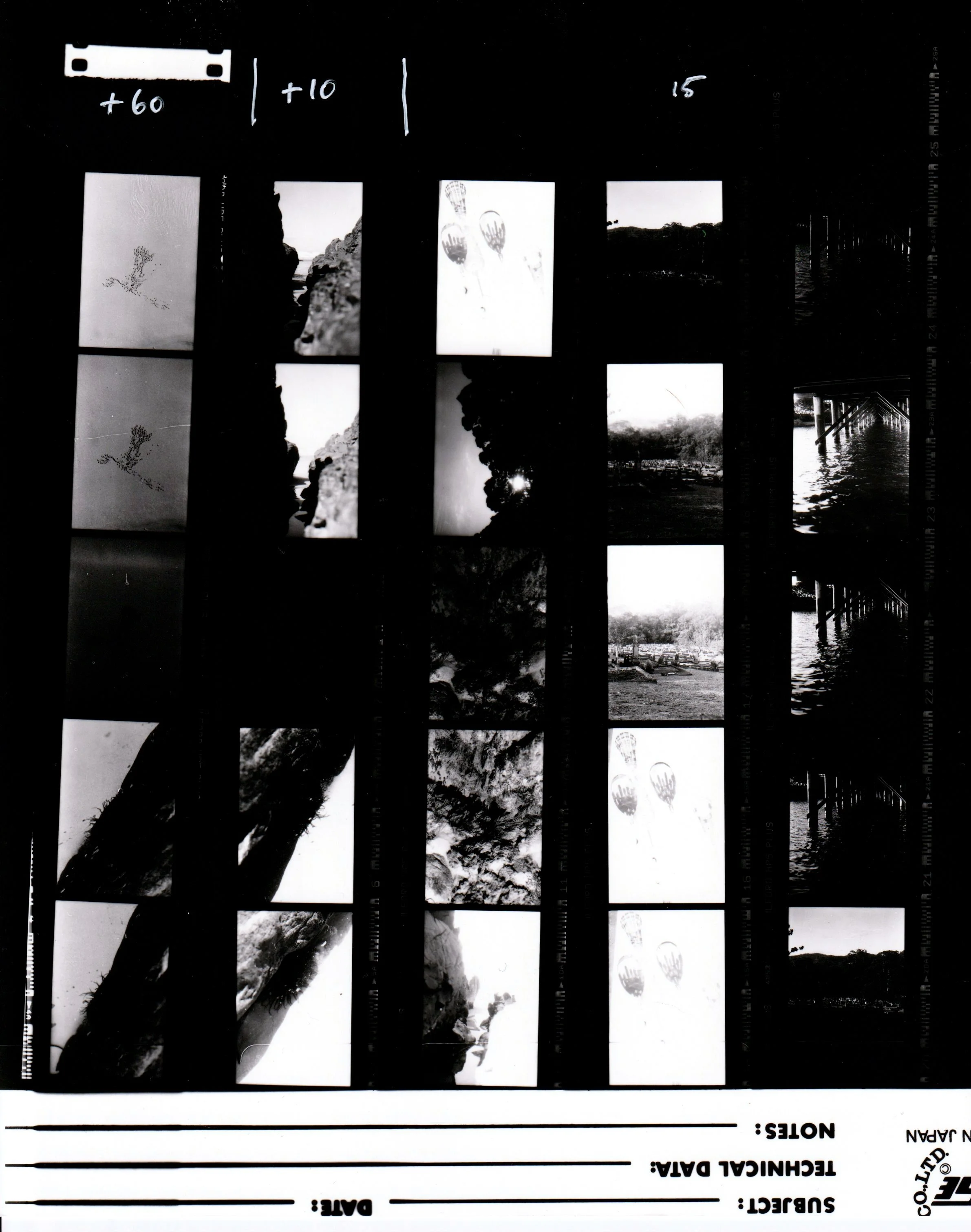 20211011_02_NegTestStrip 2.jpeg