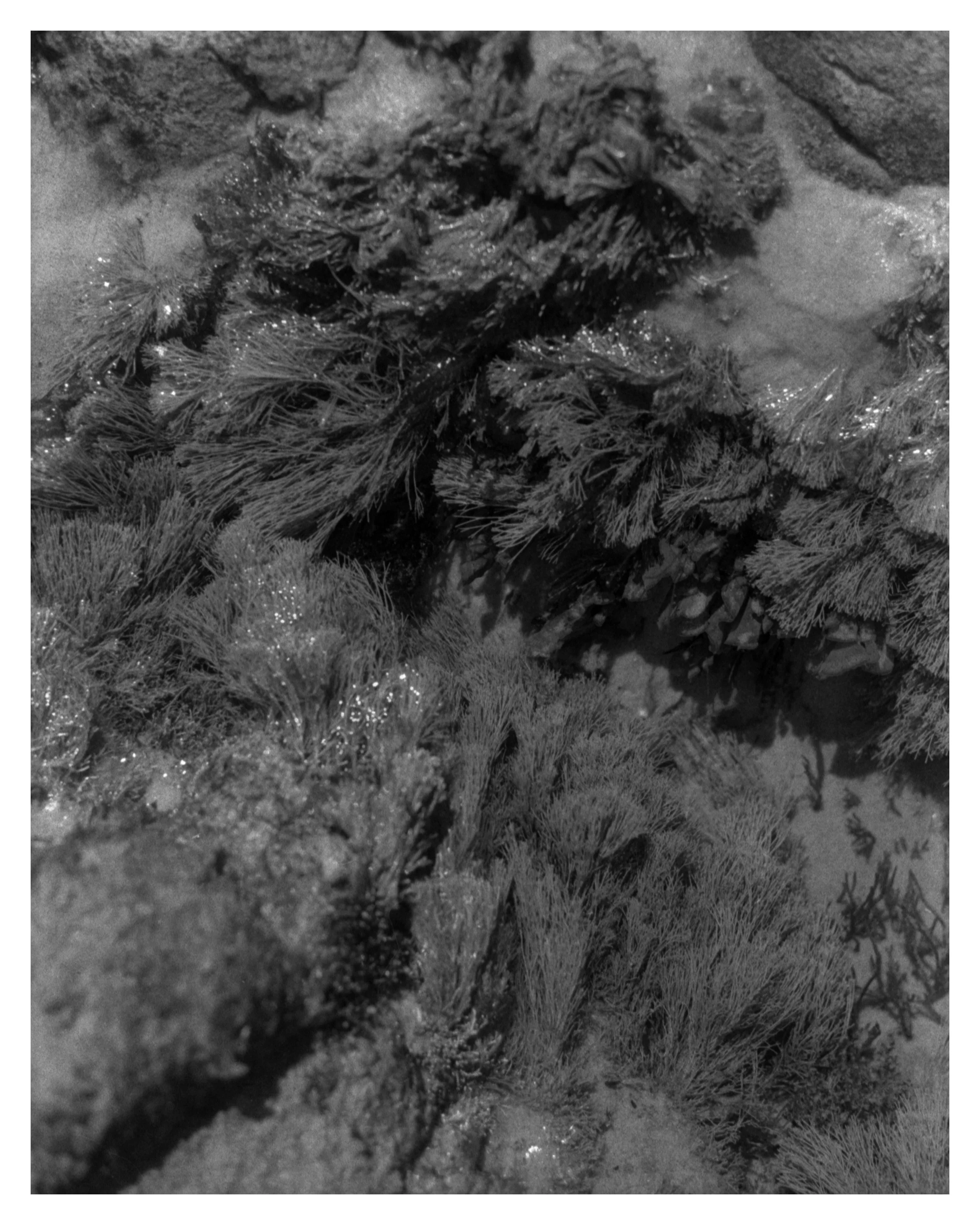 20211011_Rockpool copy.jpeg