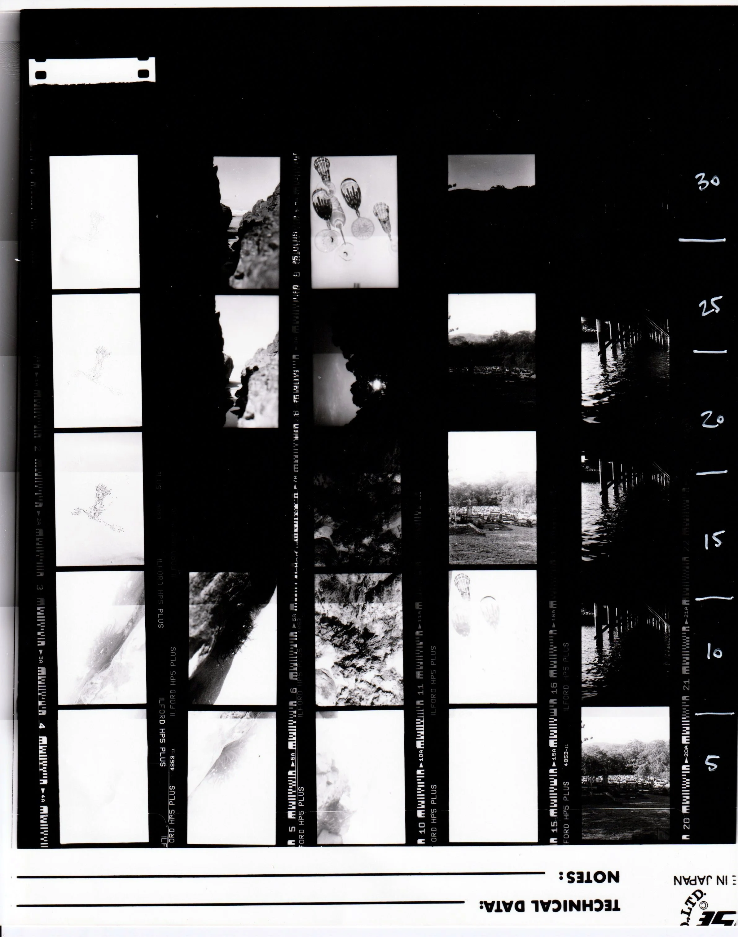 20211011_01_NegTestStrip 1.jpeg