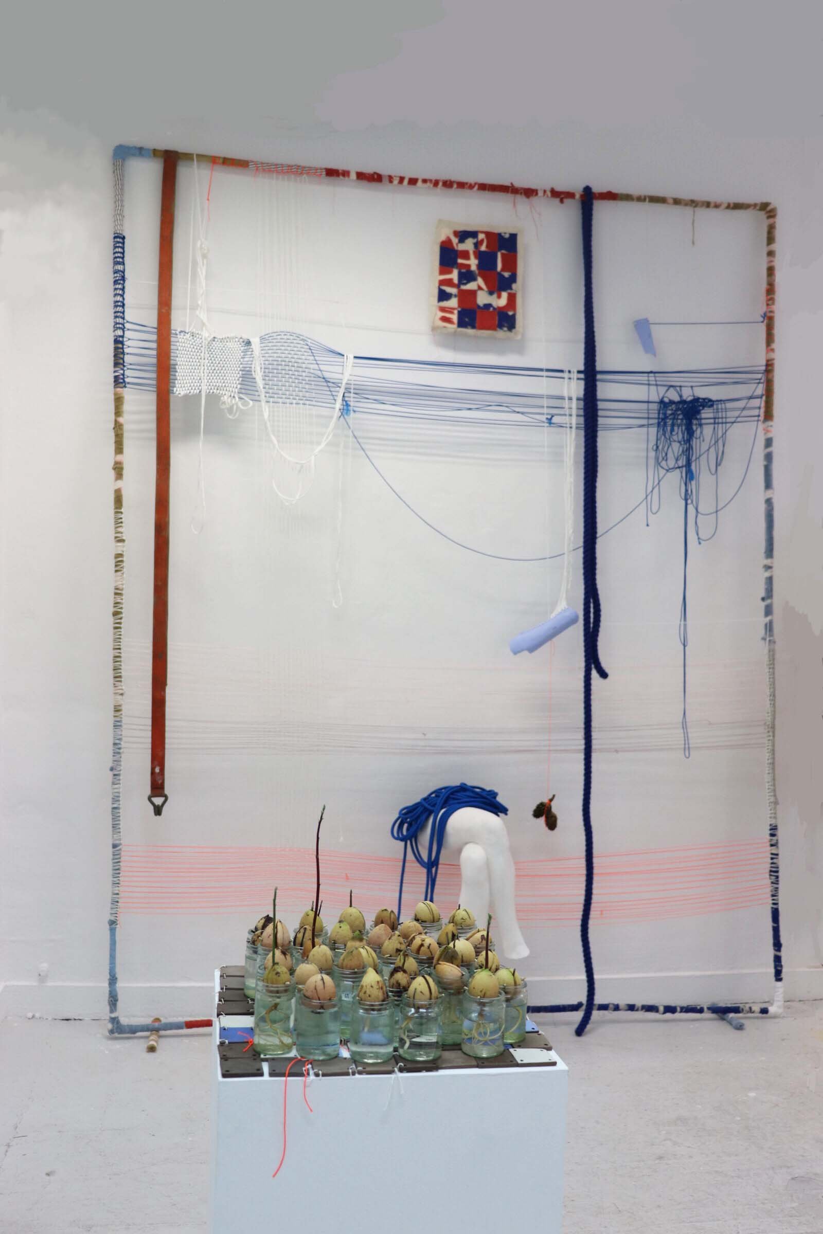 degree showweave.jpg