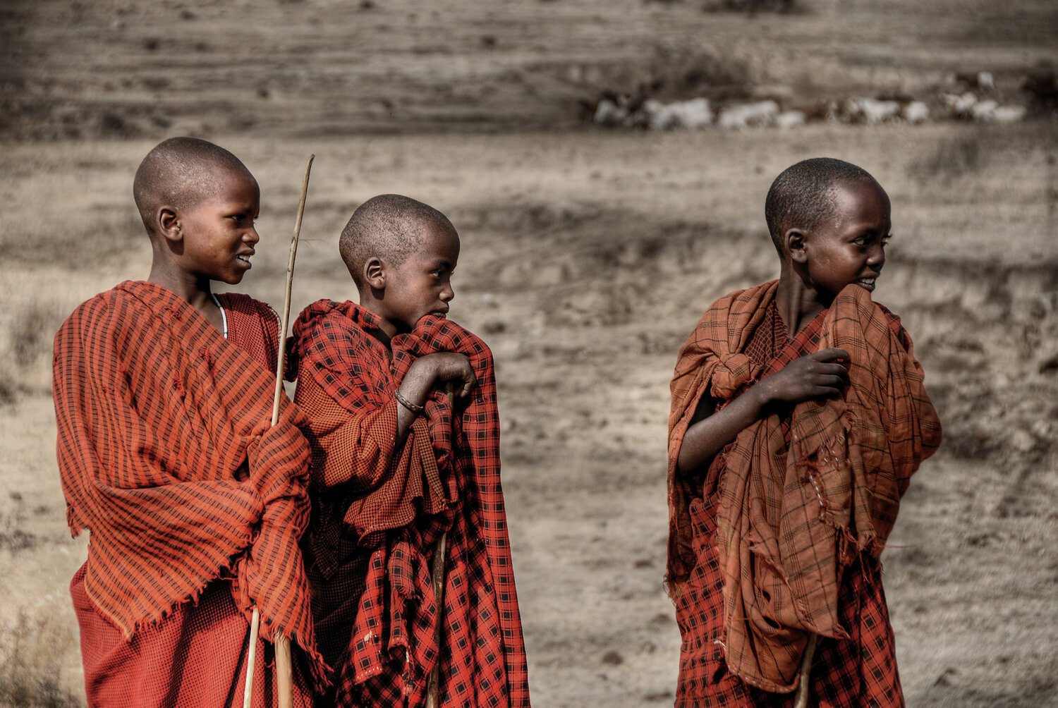 tanzania_02_web.jpeg