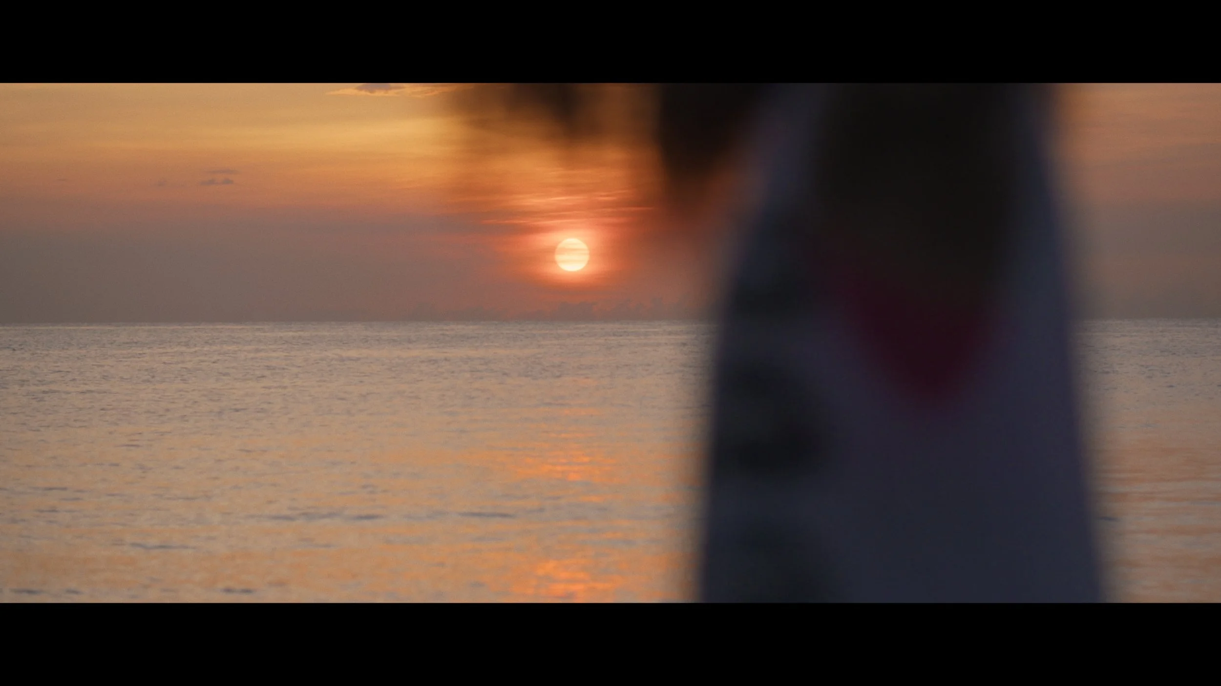 Documentary Reel '24 - 4 mins.00_00_04_07.Still001.jpg