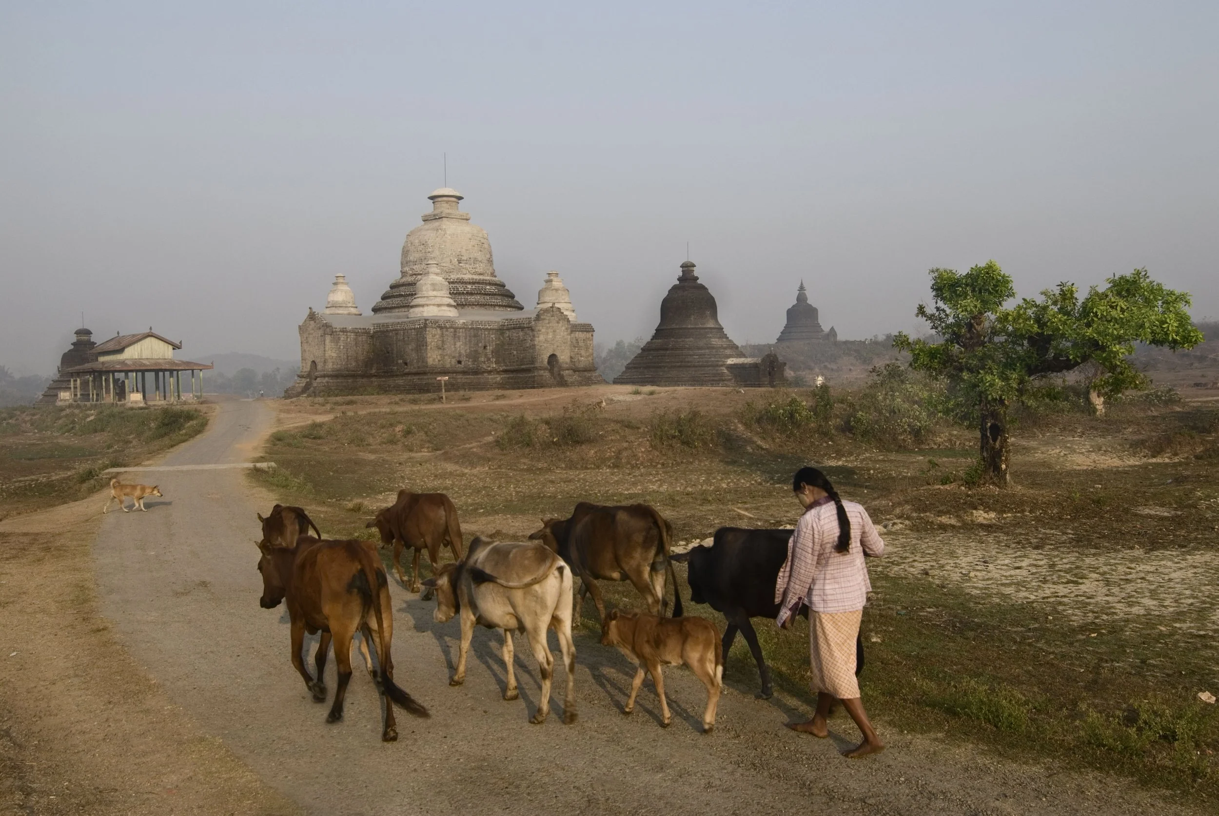 Myanmar selection44.jpg