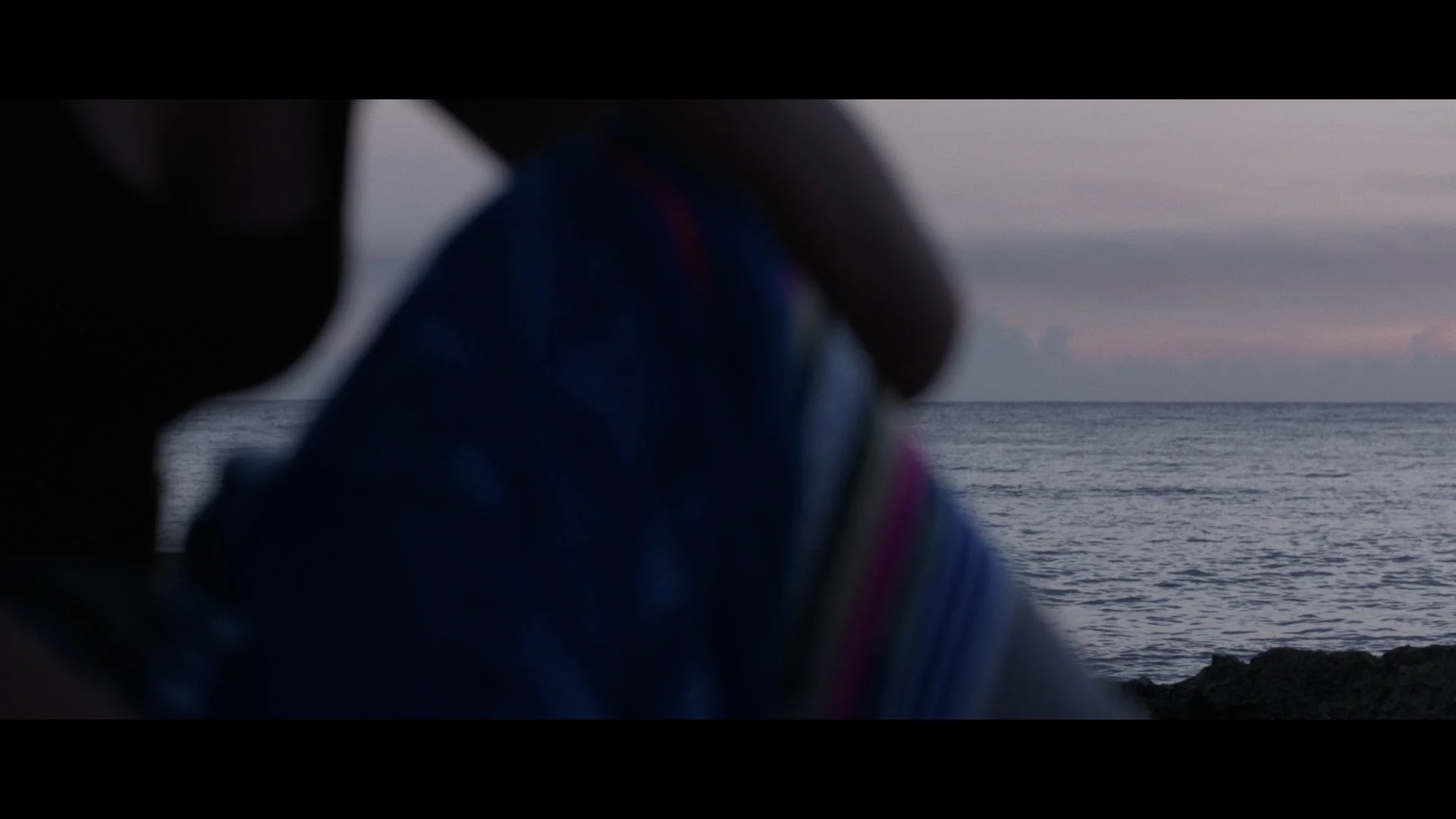 Havana Shakes_09.jpg