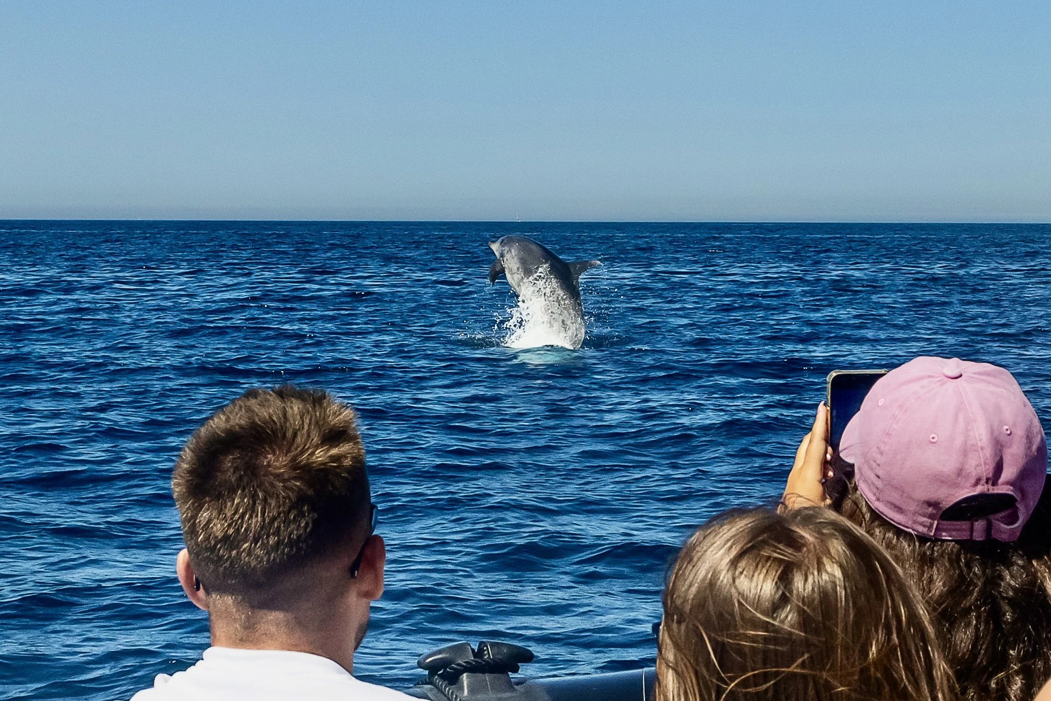 Observação de Golfinhos em Sesimbra