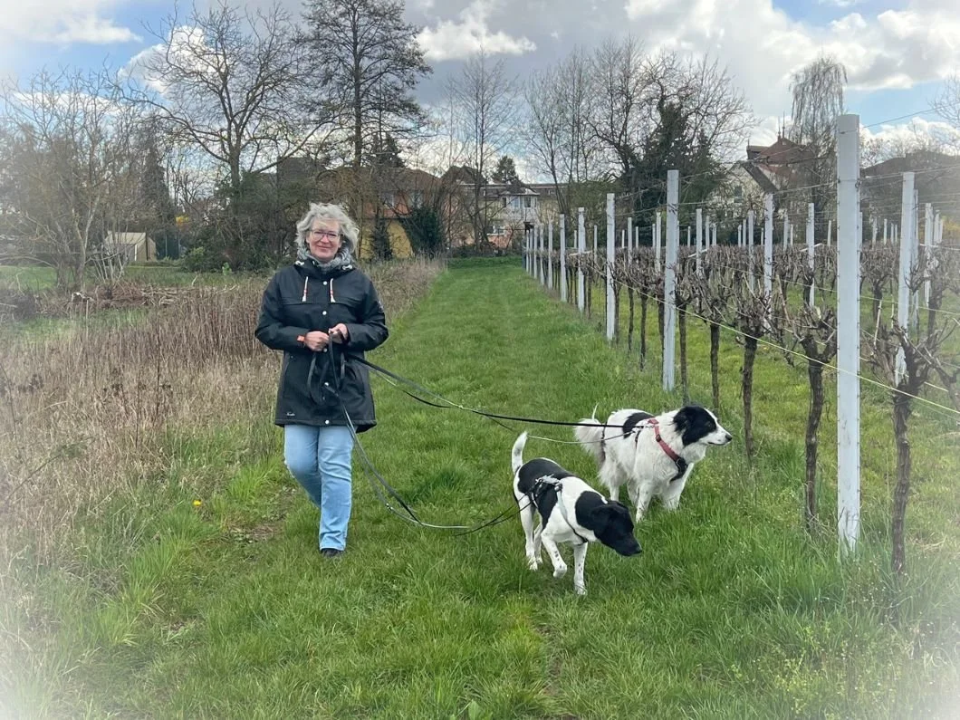 Eine Frau spaziert in einer Weinbergpassage mit zwei schwarzen und weißen Hunden an der Leine, umgeben von Bäumen und Häusern im Hintergrund.