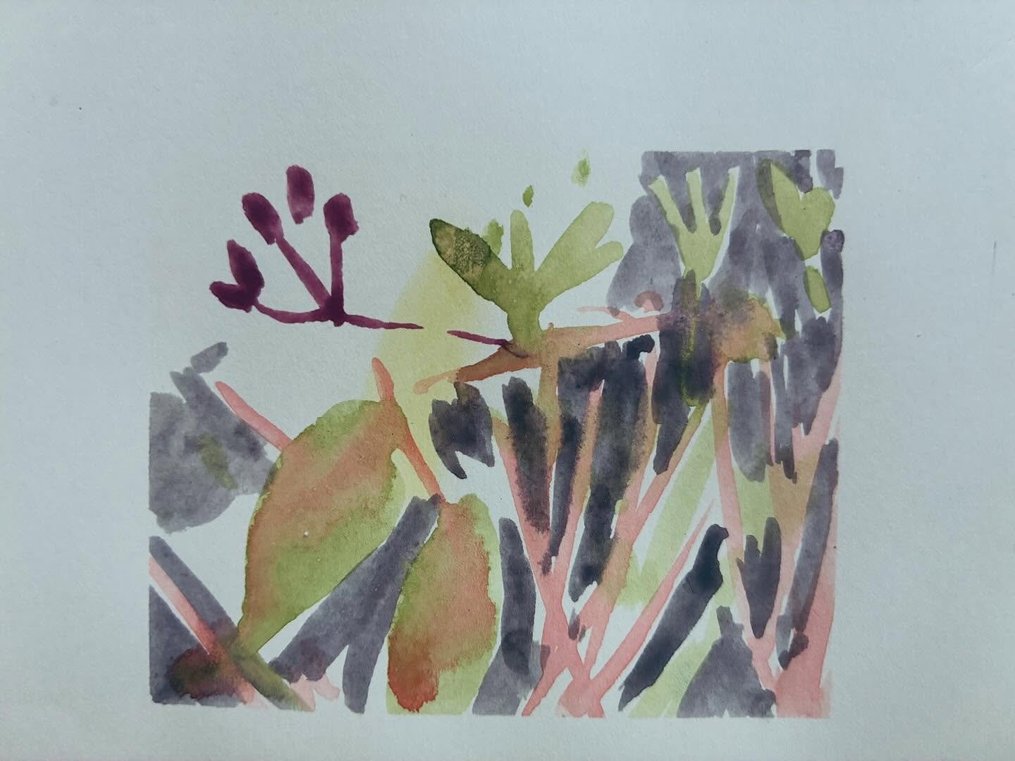 Gouache observations in my friends garden. Spring!
#painting #gouache