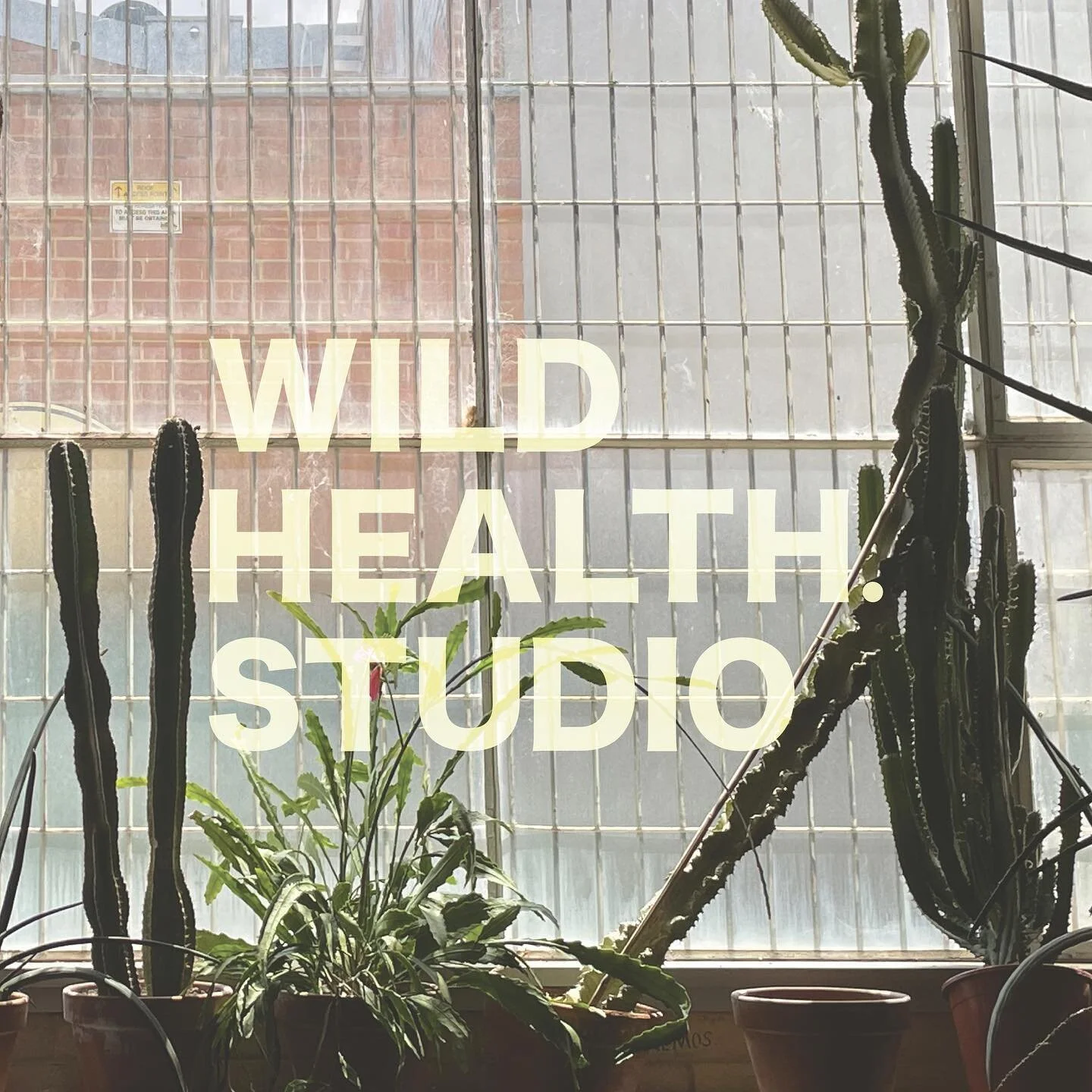 [2/6] Client: @wildhealth___studio 
Scope: Brand Strategy + Identity; Primary Logo Design

Wild Health Studio is an online platform offering naturopathic consultations Australia wide.