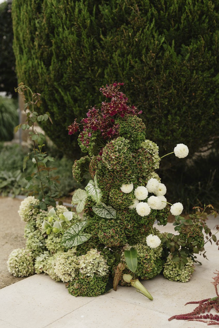 Screenshot 2026-02-24 at 11.25.03 am.png