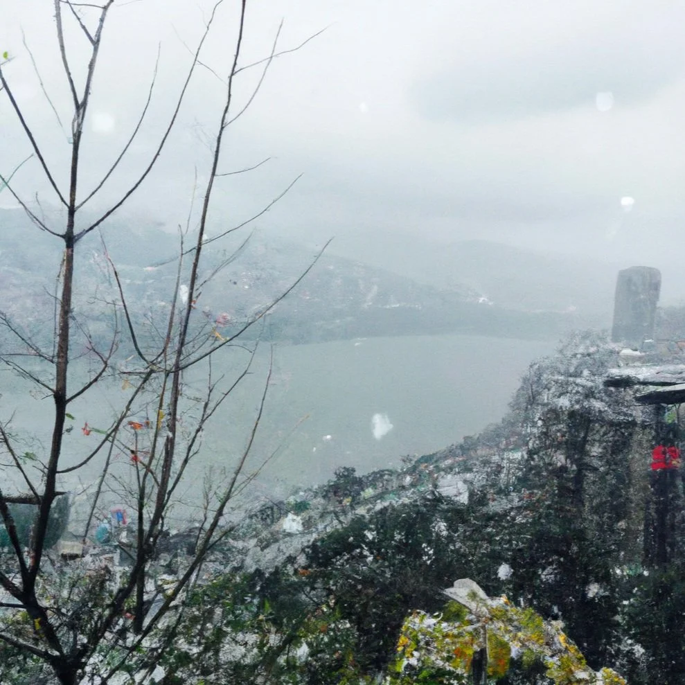 张枣诗四首（2）