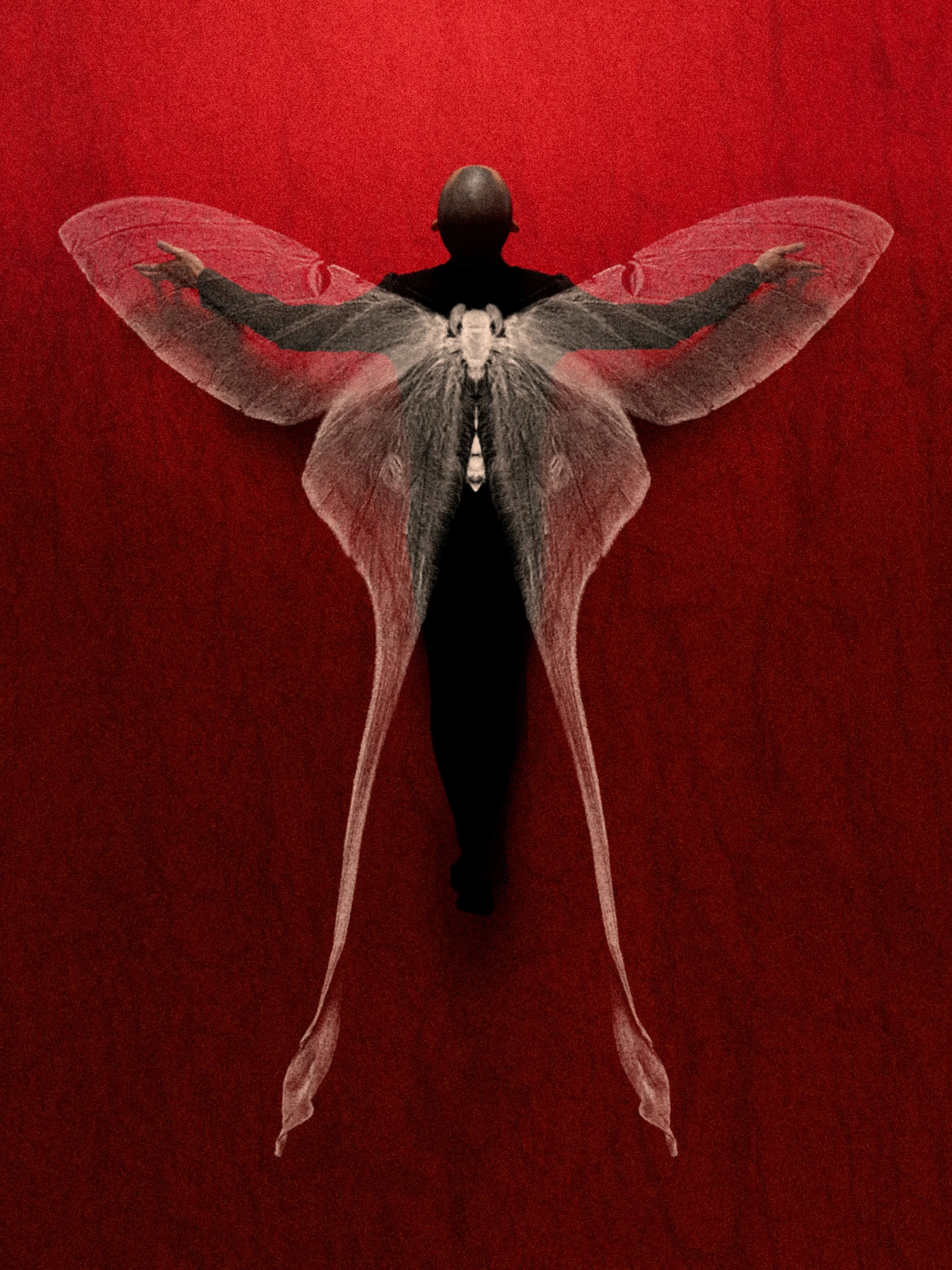 A person dressed in black with butterfly wings, standing against a red background, with arms extended outward.