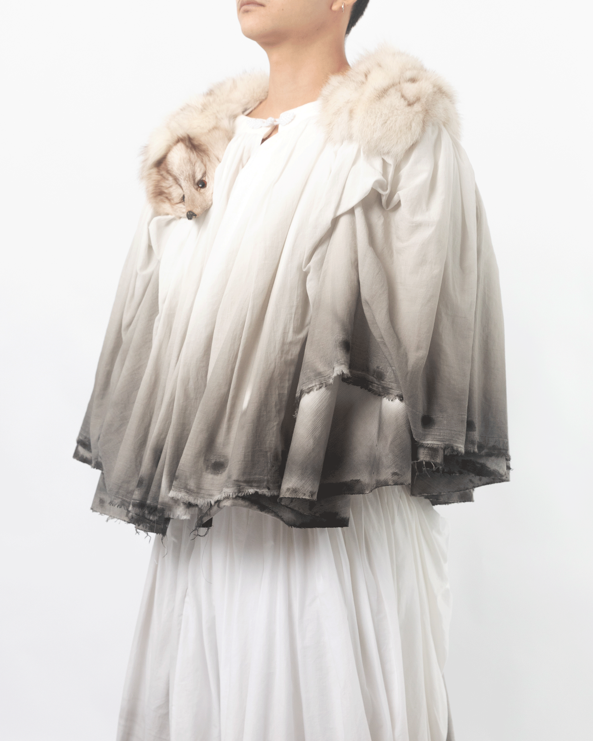 fox-cape.gif