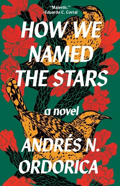 How We Named the Stars by Andres N. Ordorica.jpeg