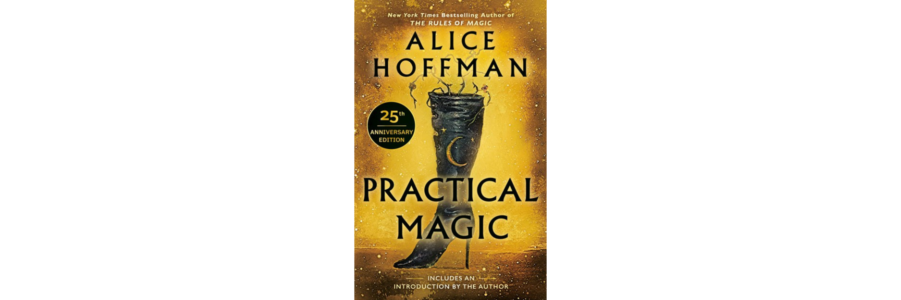 Practical Magic: 25th Anniversary Edition [Book]