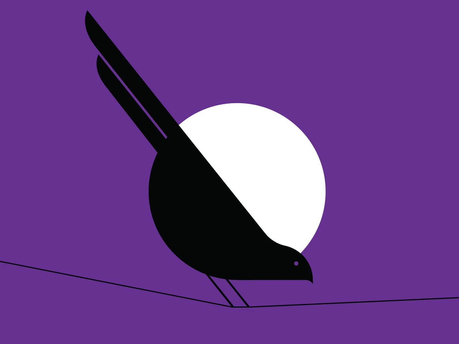 16-bird-2.jpg