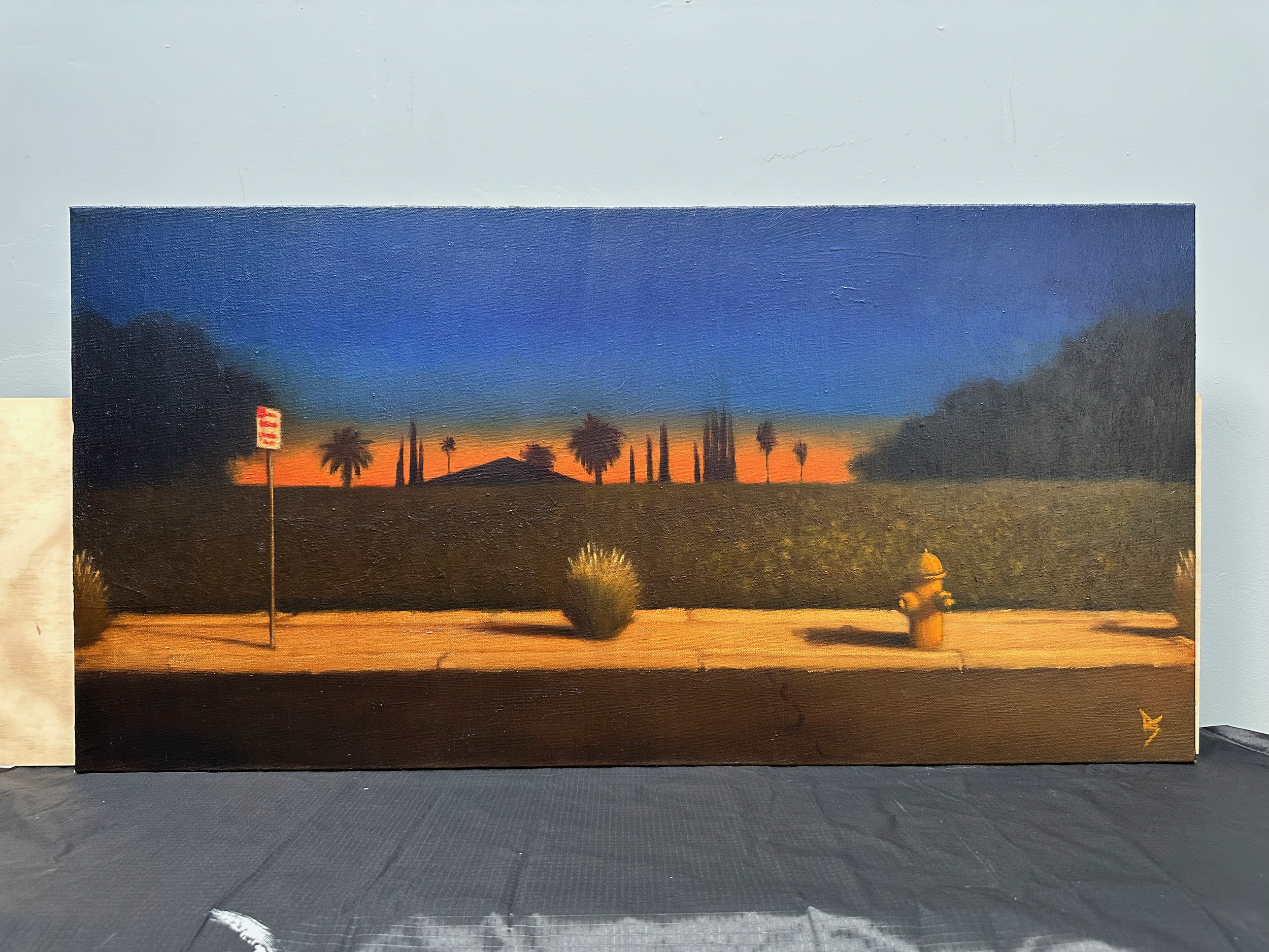 Sunset In Suburbs - Alex Selkowitz Fine Art