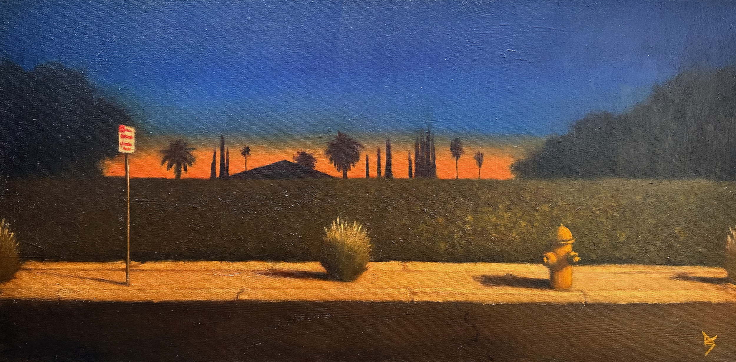 Sunset In Suburbs - Alex Selkowitz Fine Art