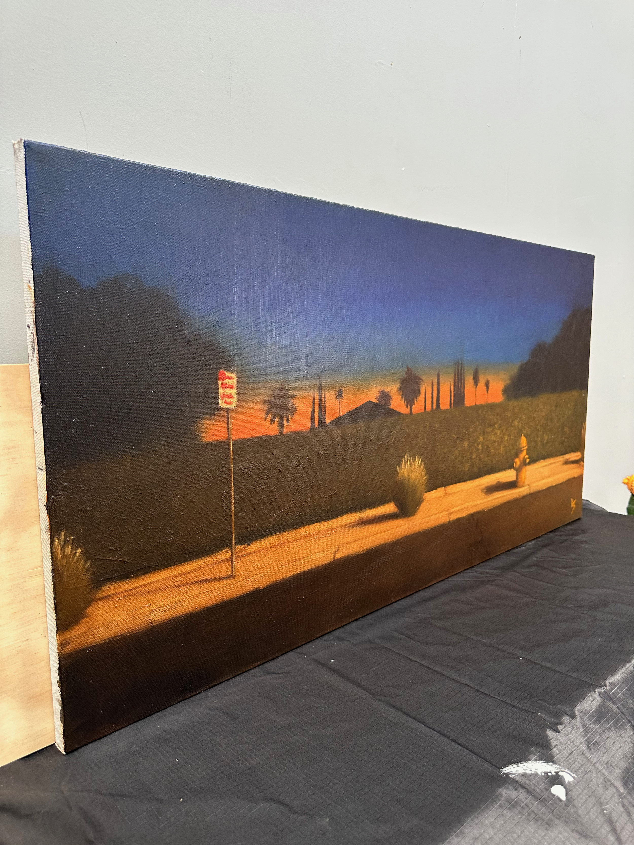 Sunset In Suburbs - Alex Selkowitz Fine Art
