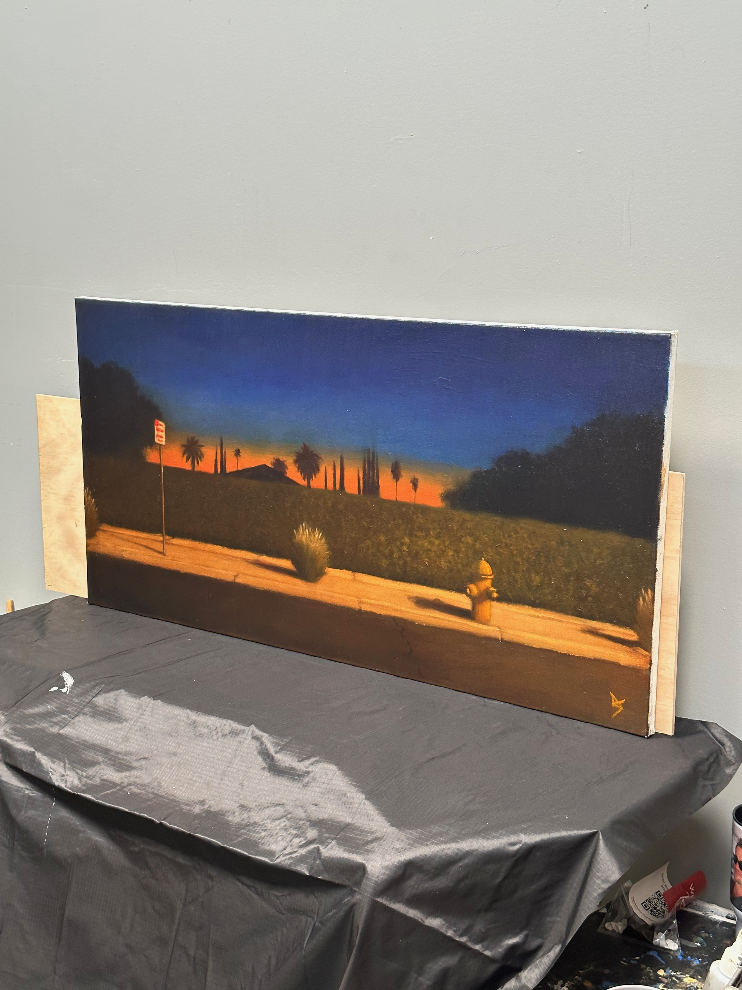 Sunset In Suburbs - Alex Selkowitz Fine Art