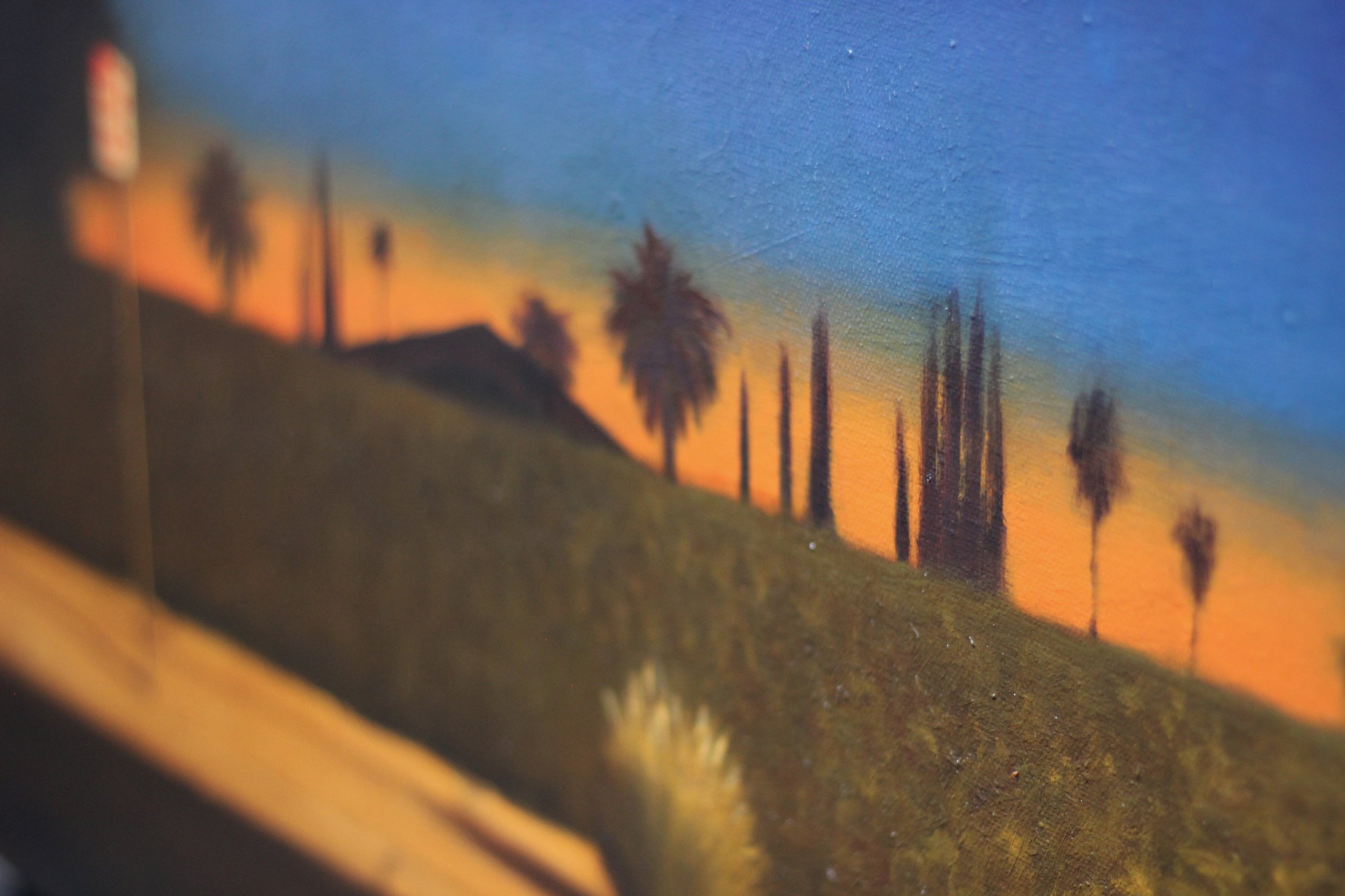 Sunset In Suburbs - Alex Selkowitz Fine Art