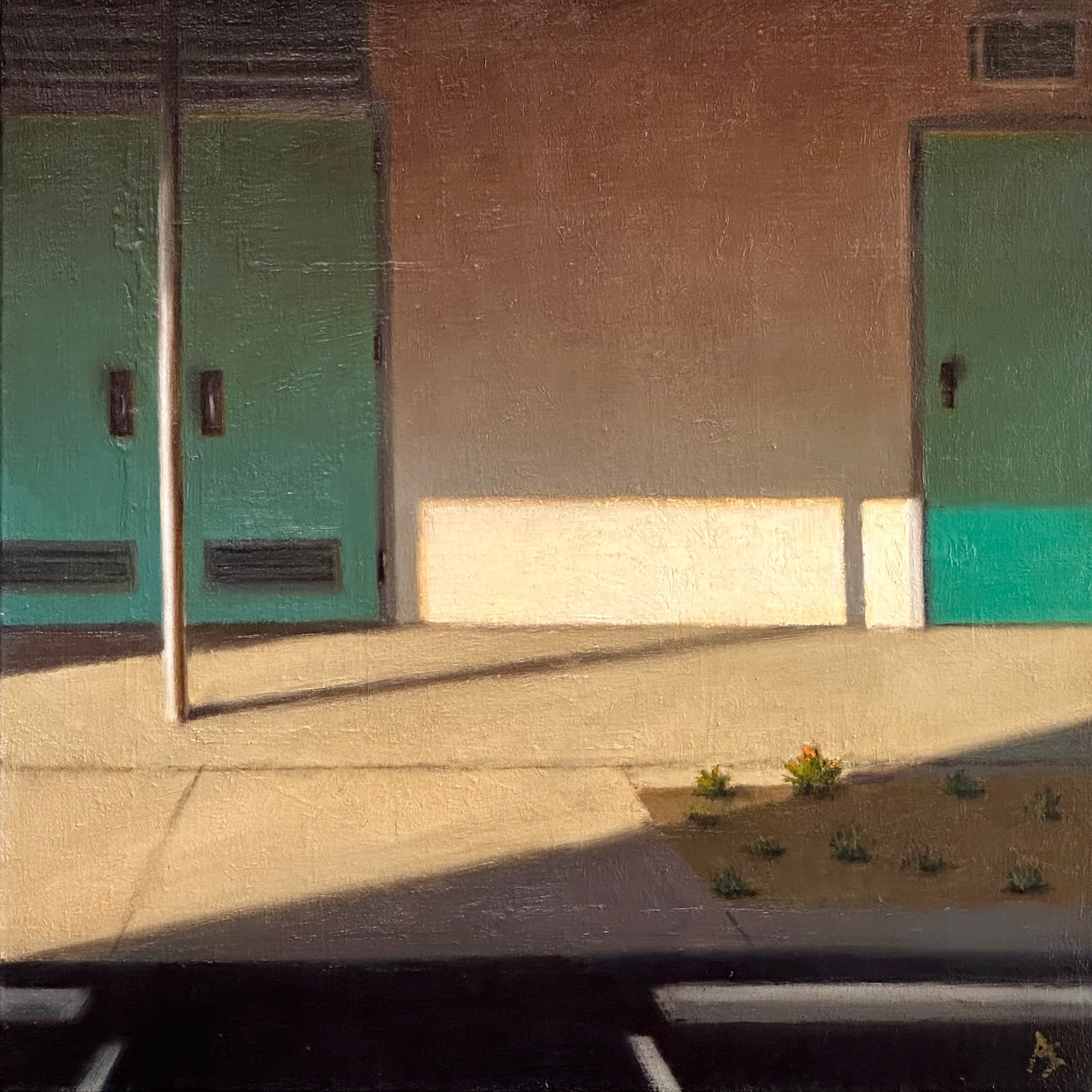 Afternoon Light