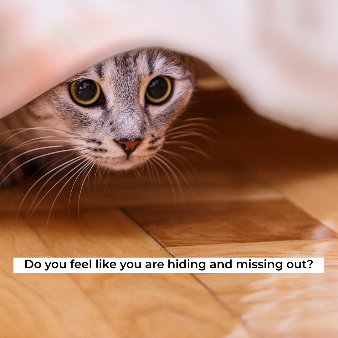 A curious tabby cat peeking out from under a blanket on a wooden floor. Text overlay says, 'Do you feel like you are hiding and missing out?'