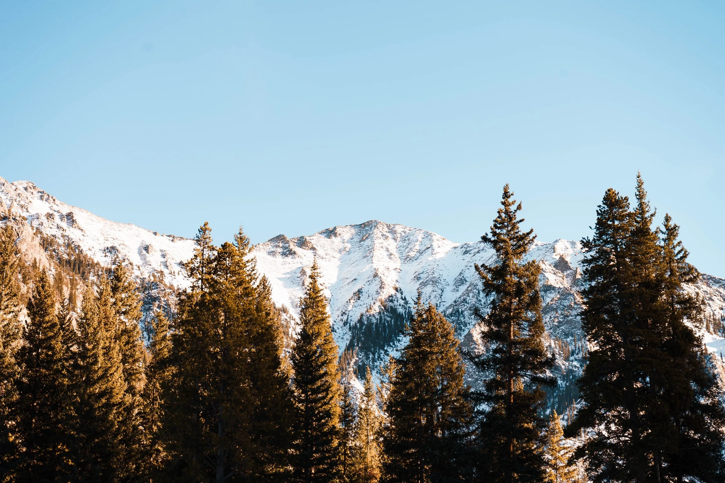 3 Reasons For Becoming a Kambo Practitioner