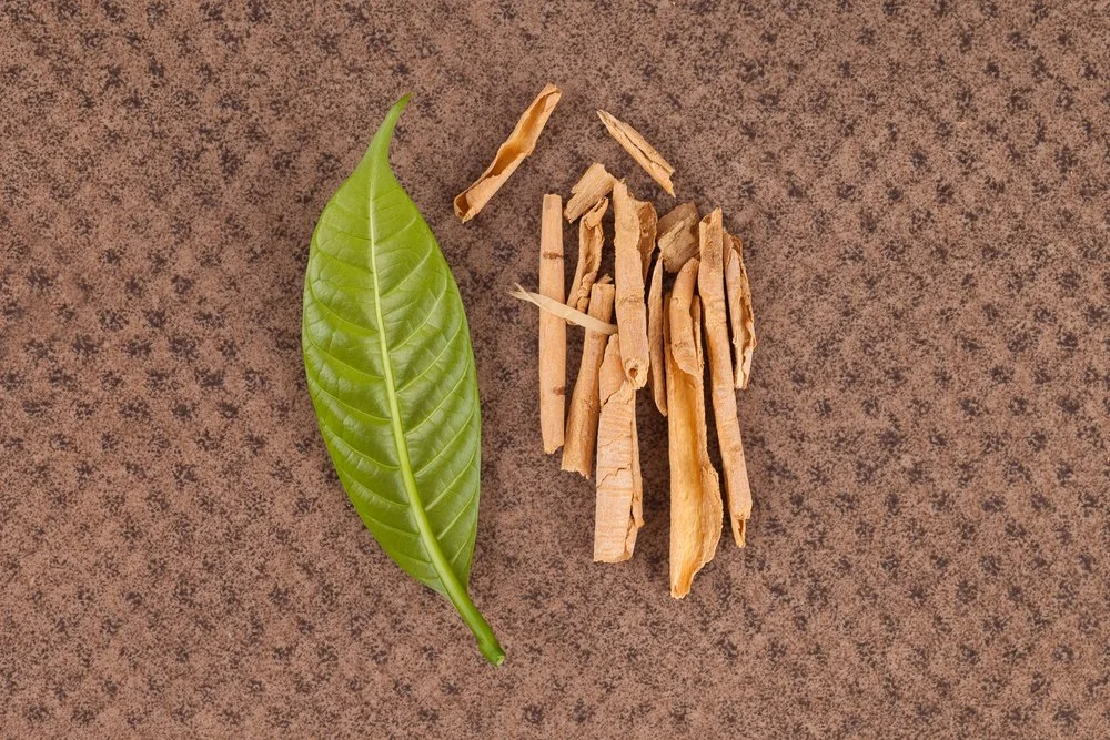 Utilizing Sananga in Your Healing Journey
