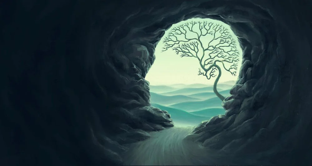 Kambo: A Sacred Journey Exploring Spiritual Benefits