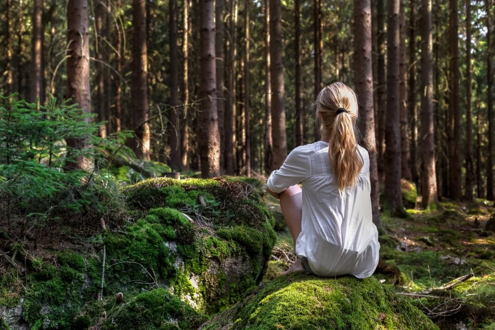 Kambo: The Power of Sacred Silence in A Kambo Session