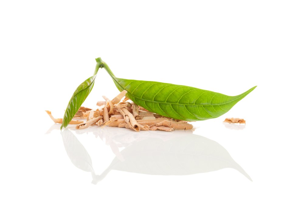 The Synergy of Healing: Exploring the Benefits of Sananga Paired with Kambo