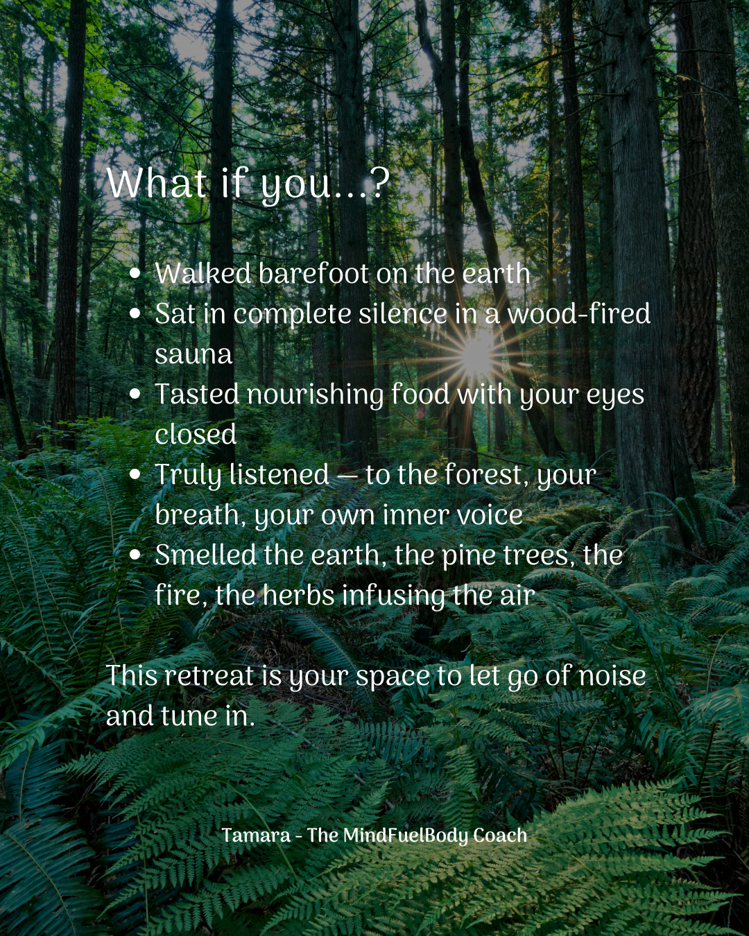MindFuelBody_Return to your senses retreat.png