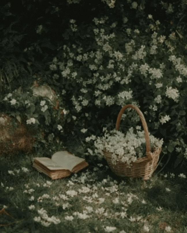 Design sans titre (4).gif