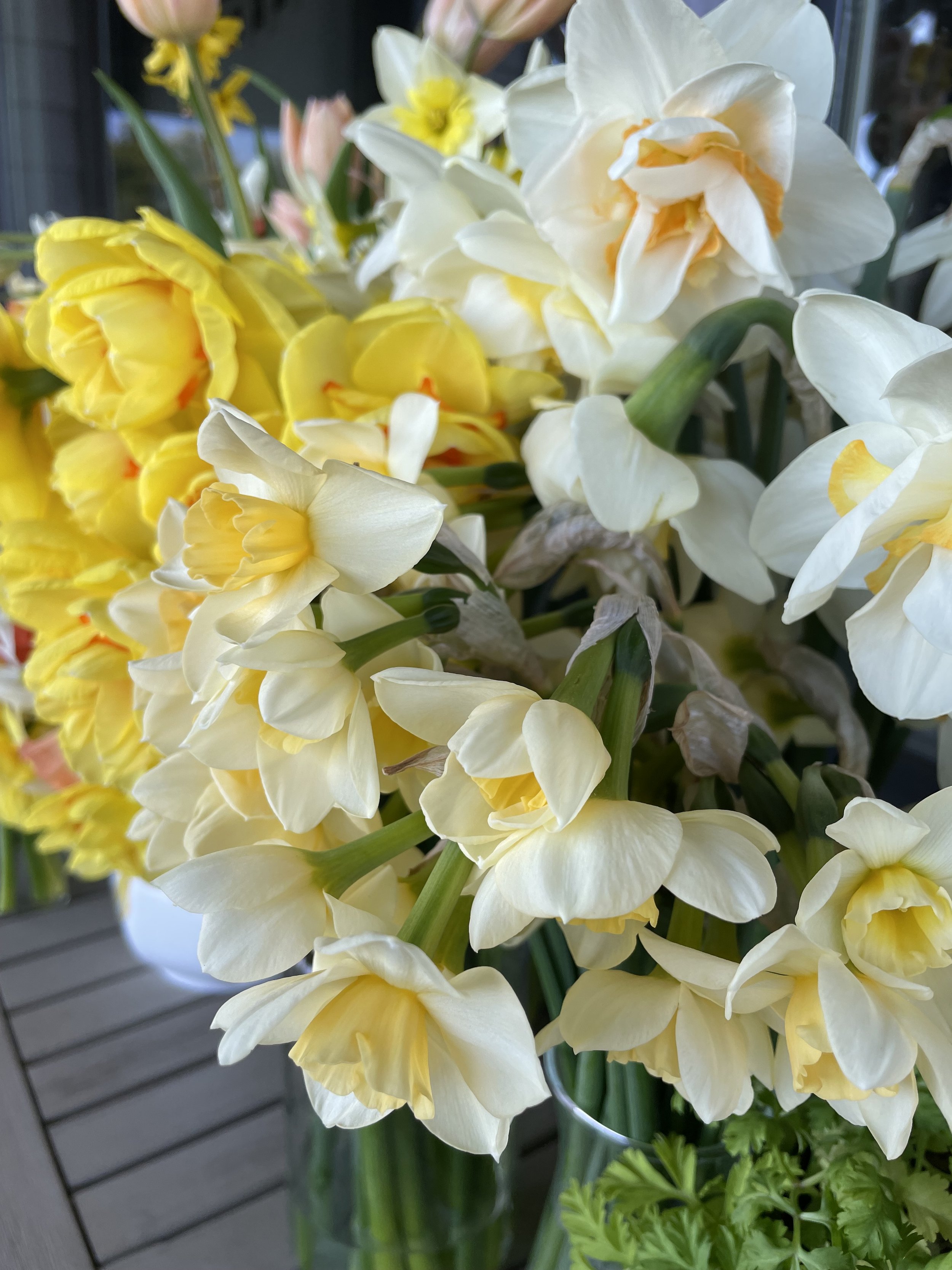 IMG_3811.jpeg