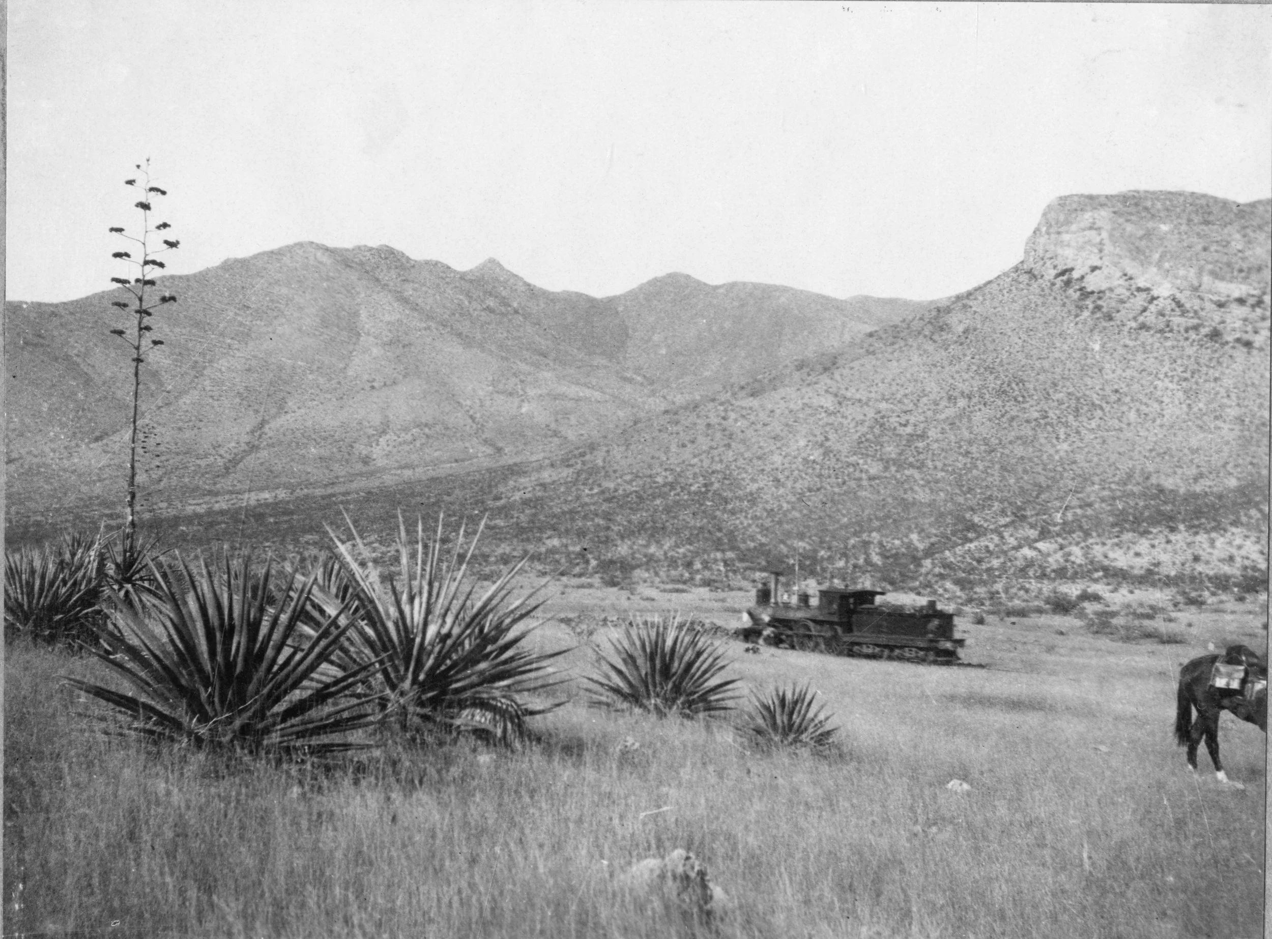 Locomotives in the Southwest