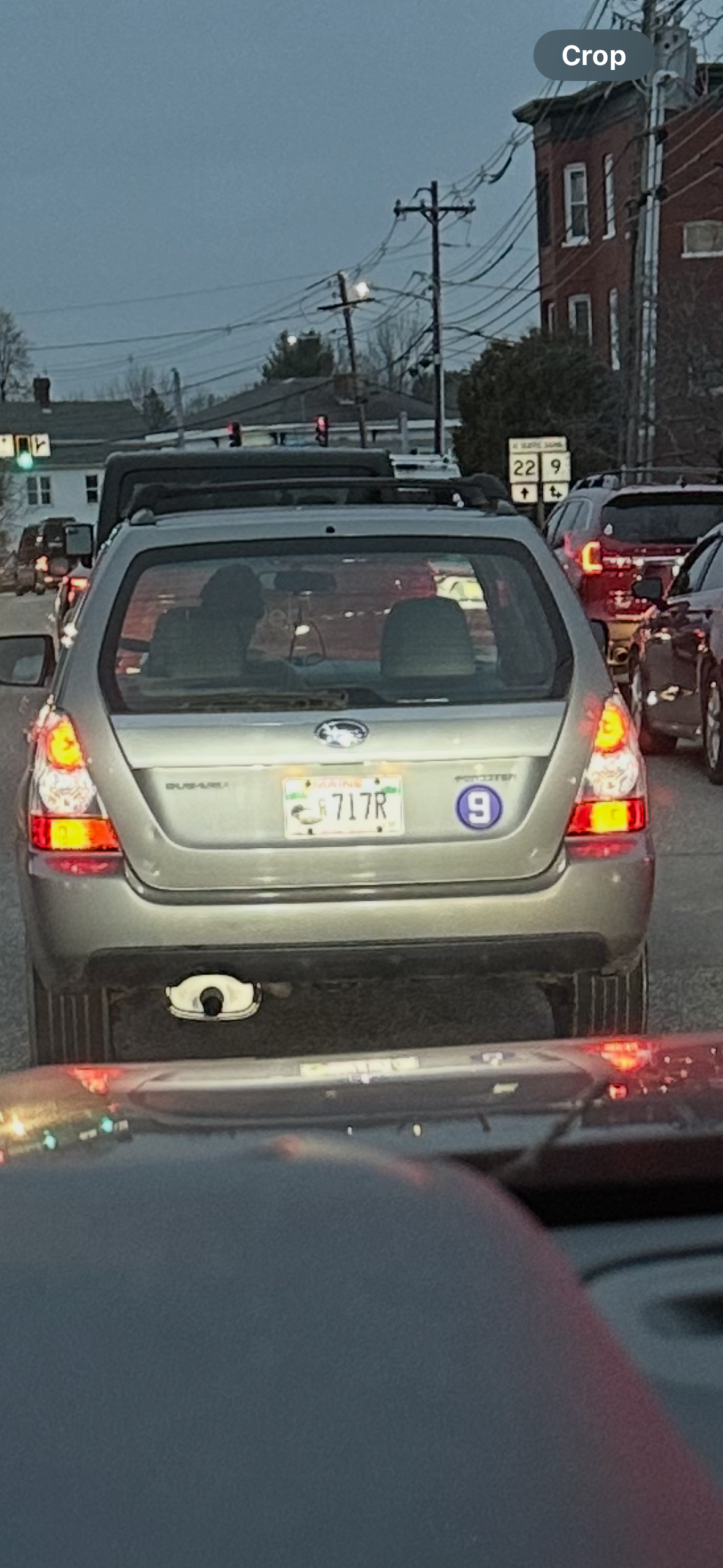 Spotted 9 1.png