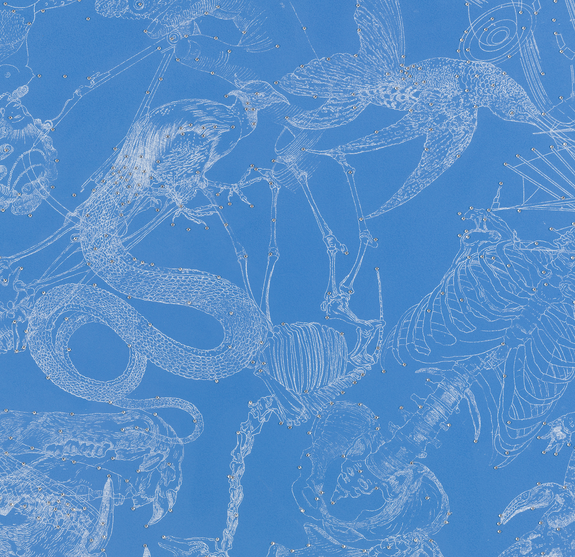 Blue 1.png