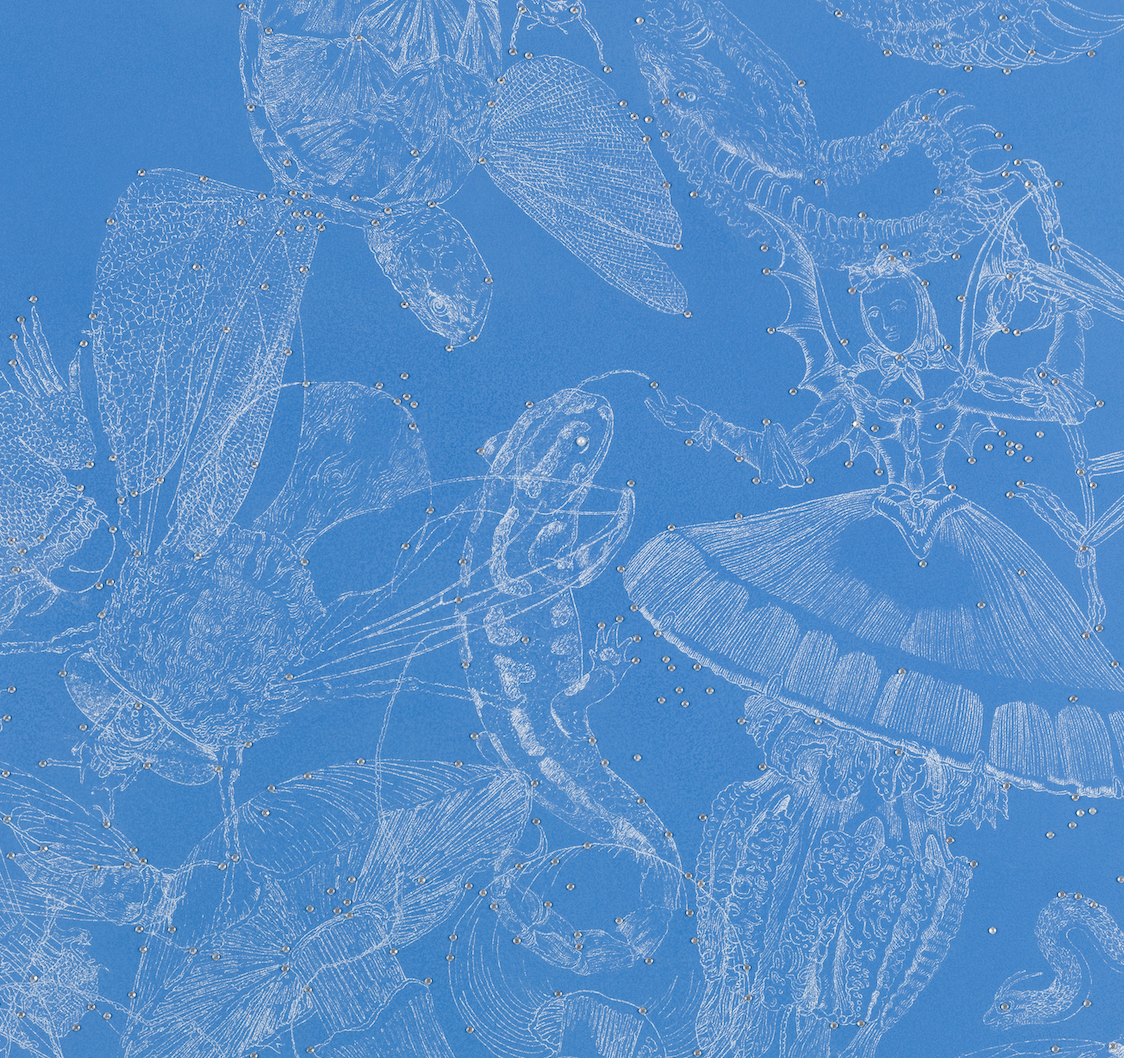 Blue 2.png