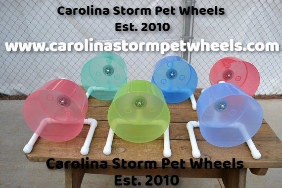 The Carolina Storm Bucket Wheel, custom made for hedgehogs, Syrian hamsters  and more. — Carolina Storm Pet Wheels