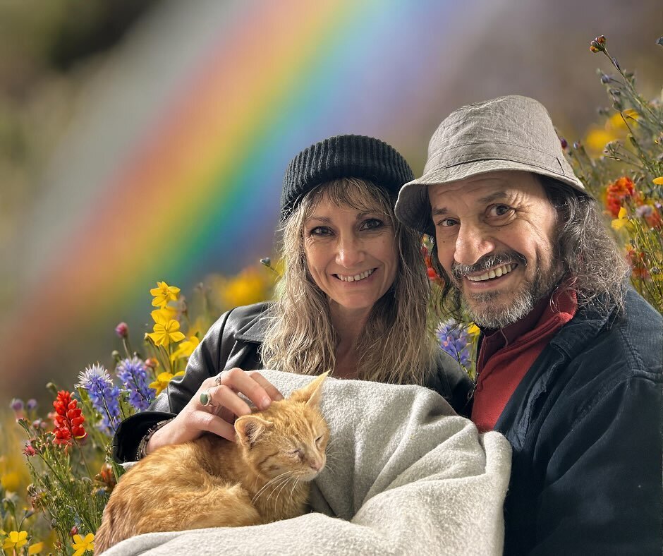 Sweet Rufus&rsquo; colorful dreams have come true. He&rsquo;s now living his best life basking in newfound bliss with his purr-fect forever family and surrounded by love and cuddles galore! Check out all these happy faces, and happy ever after. HOW M