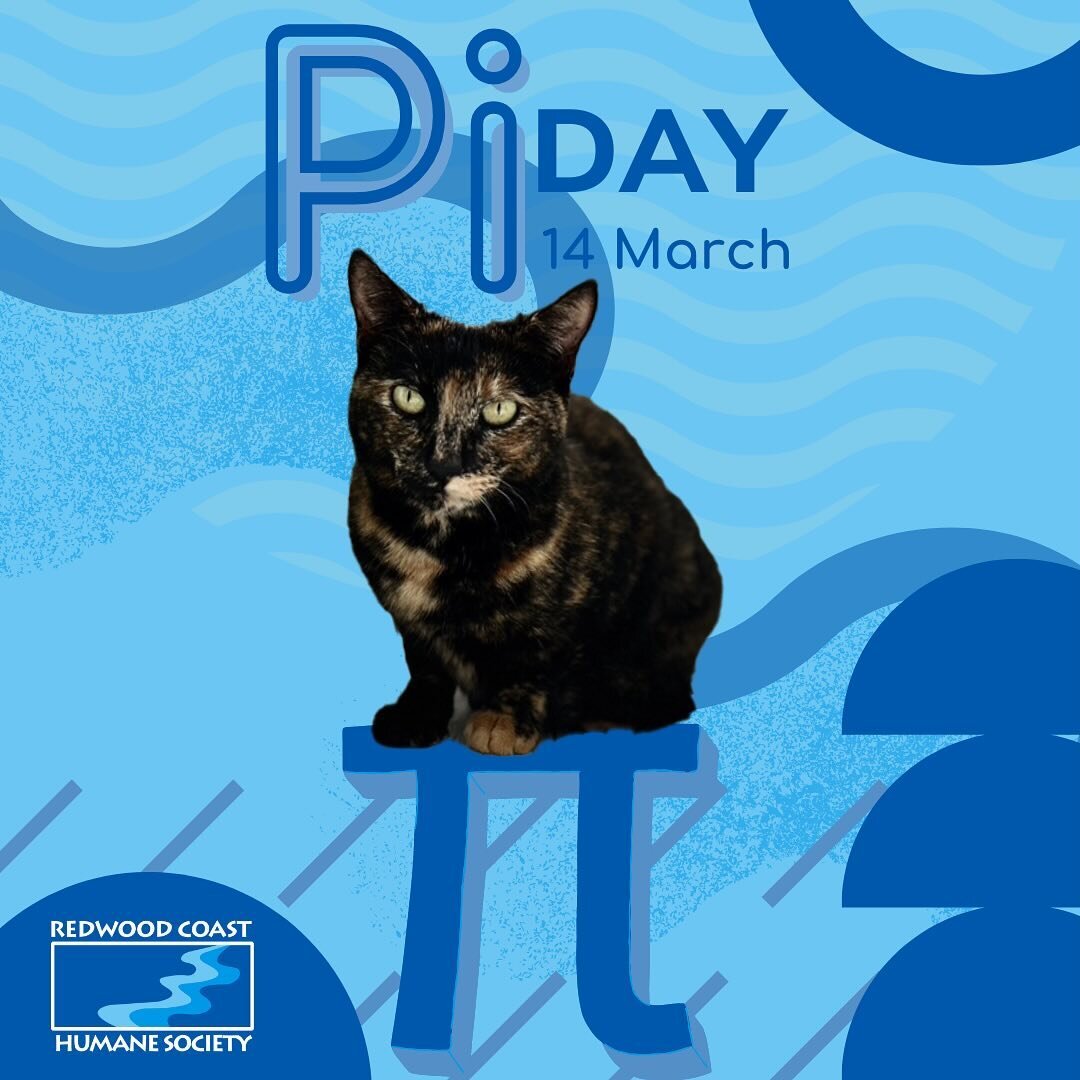 Hey there cat lovers! It&rsquo;s me, Tortie Swift, here to dish out a reminder about - National Pi Day! 🥧 And guess what? It&rsquo;s also the birthday of the one and only Albert Einstein! To mark this epic occasion, swing by the Redwood Coast Humane