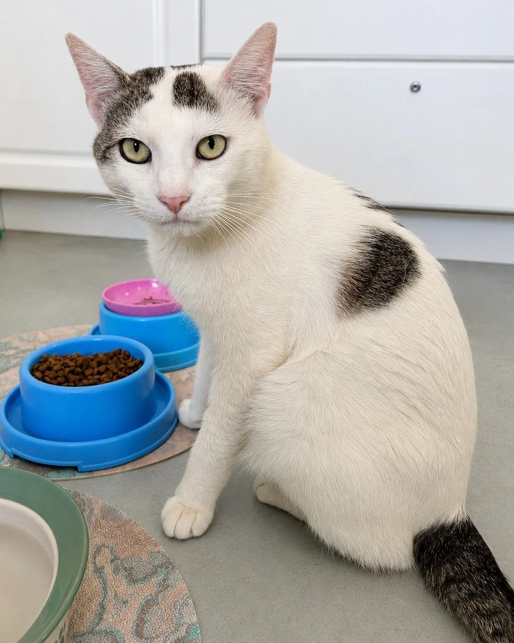 Milo