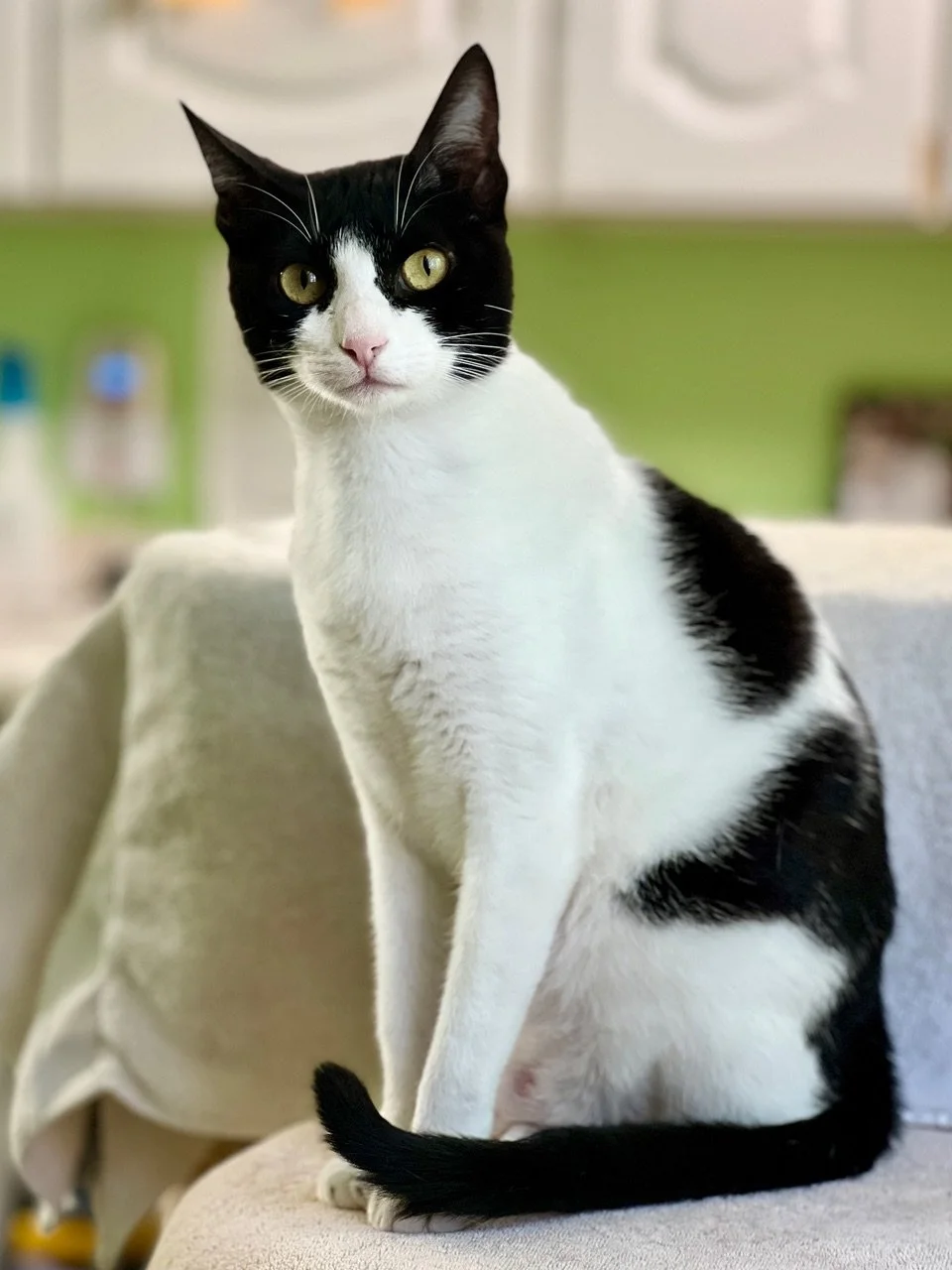 Chloe