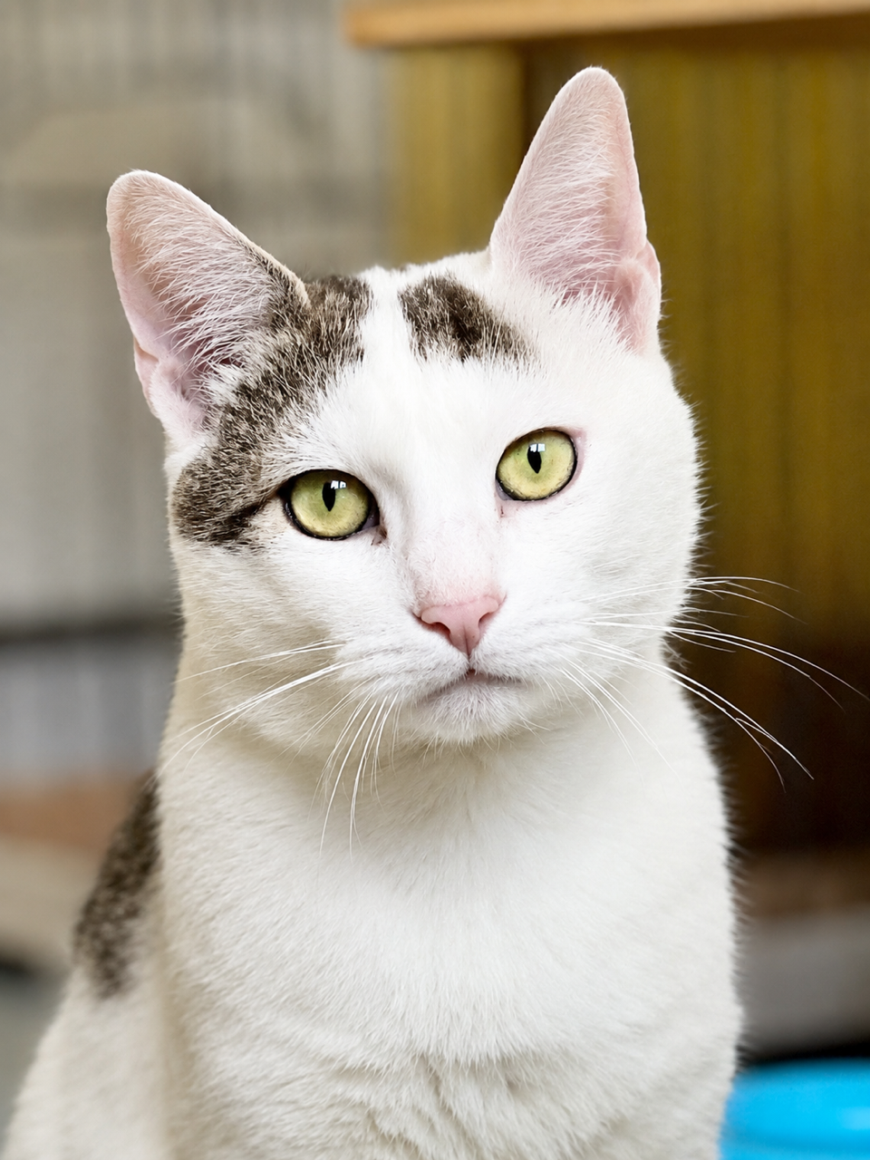 Milo