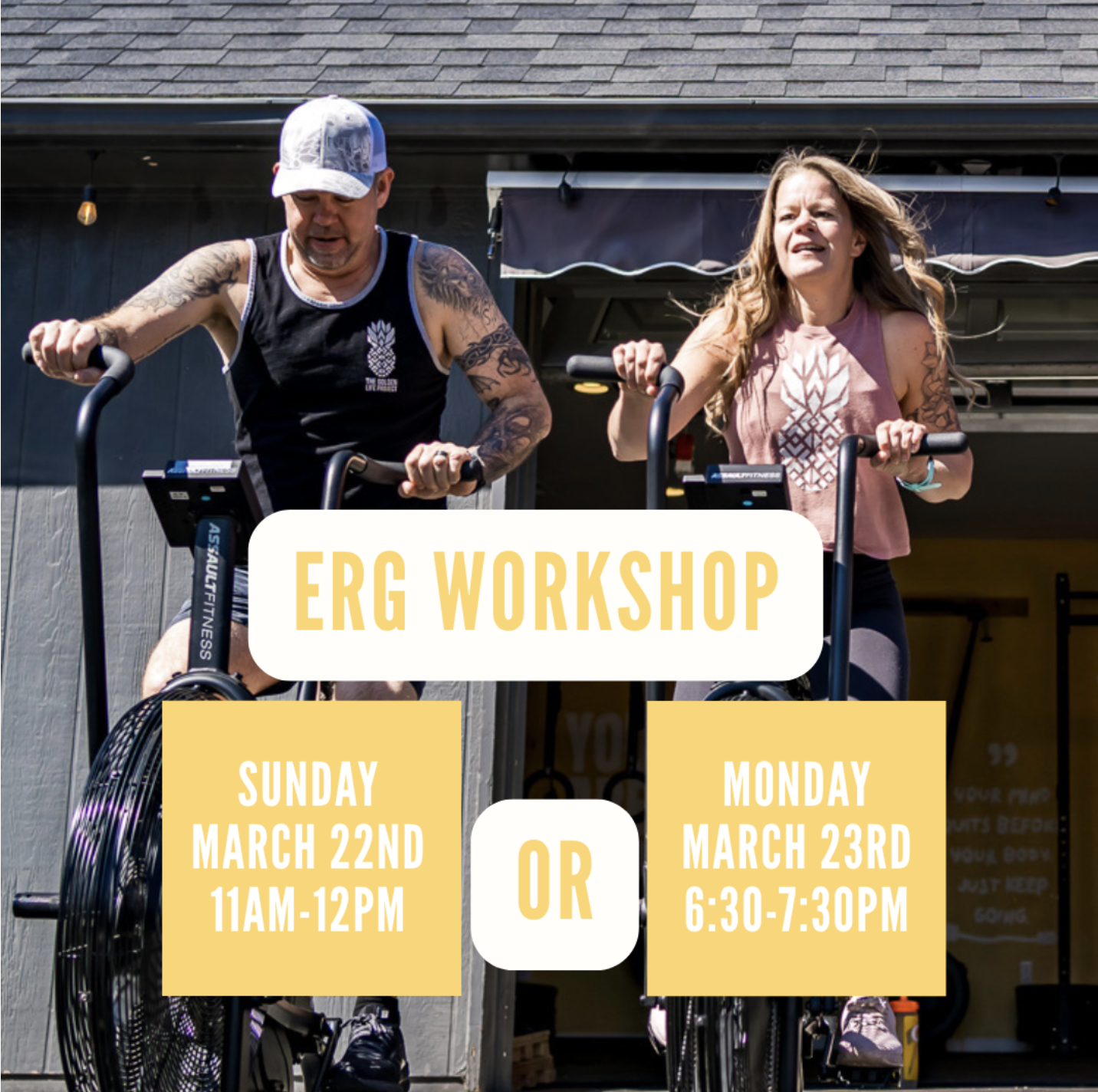 Erg Workshop Option 2