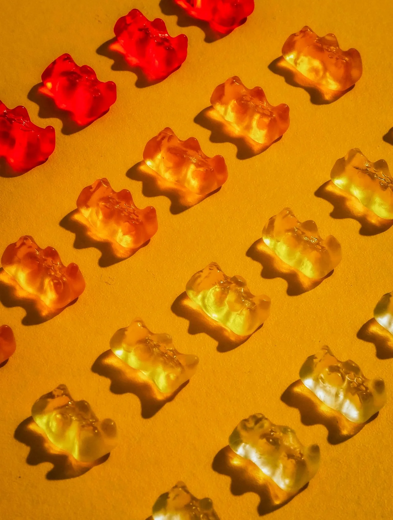 Screenshot 2026-01-15 at 5.33.38 PM.jpg